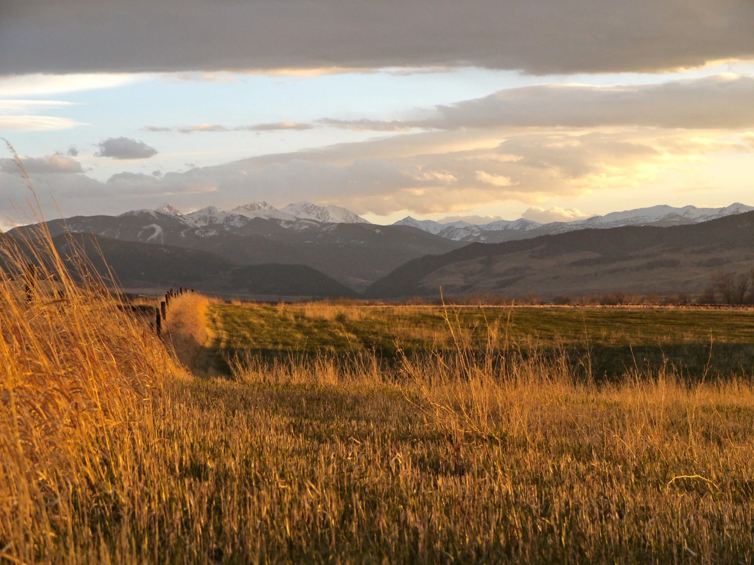 The Spanish Peaks from Gooch Hill Road, Gallatin Valley, Montana. (Photo by Emily Stifler Wolfe)