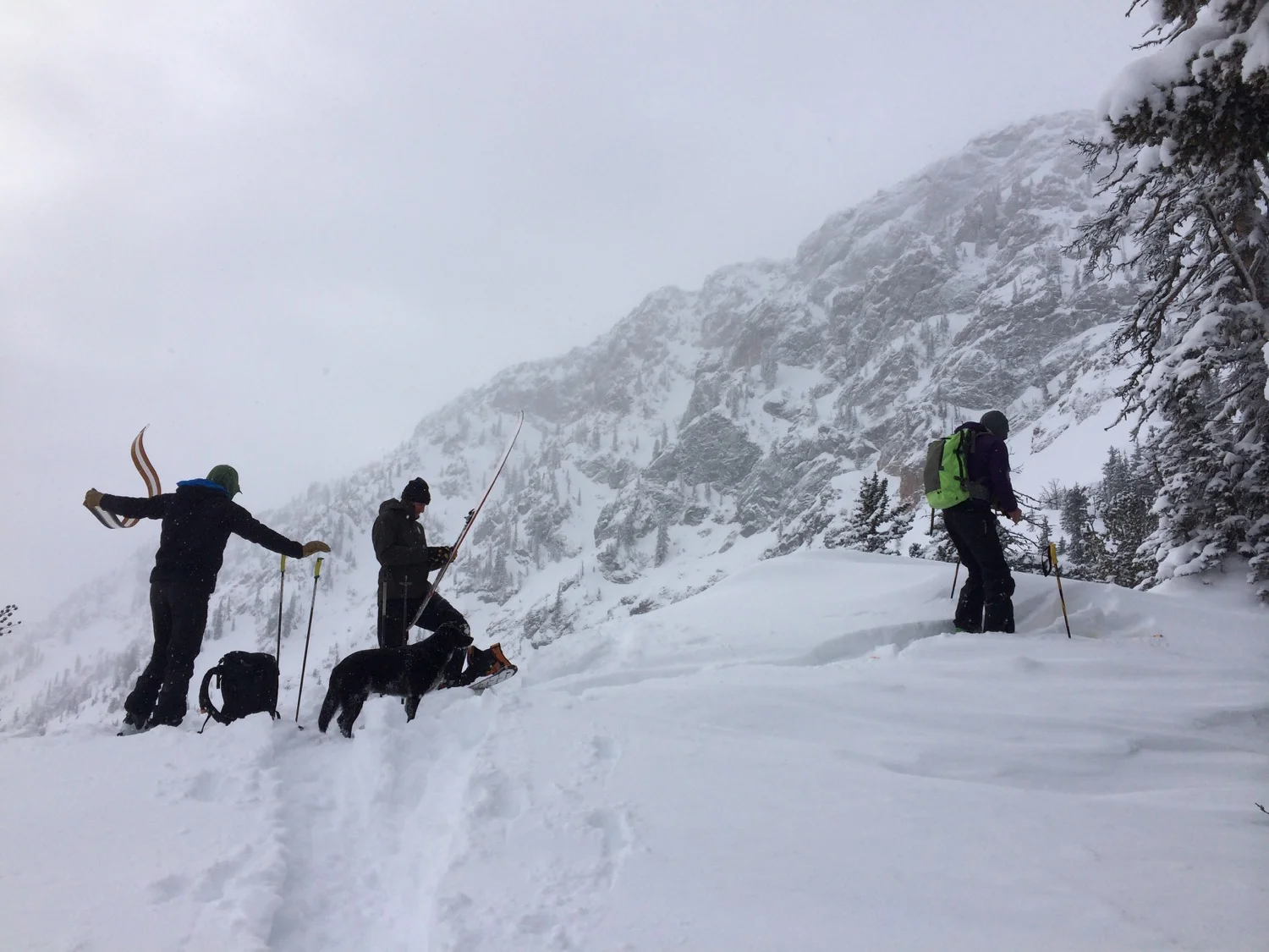 Boys, snow, wind, skis and a powder hound. What more could a girl ask for? (Photo by Emily Stifler Wolfe)