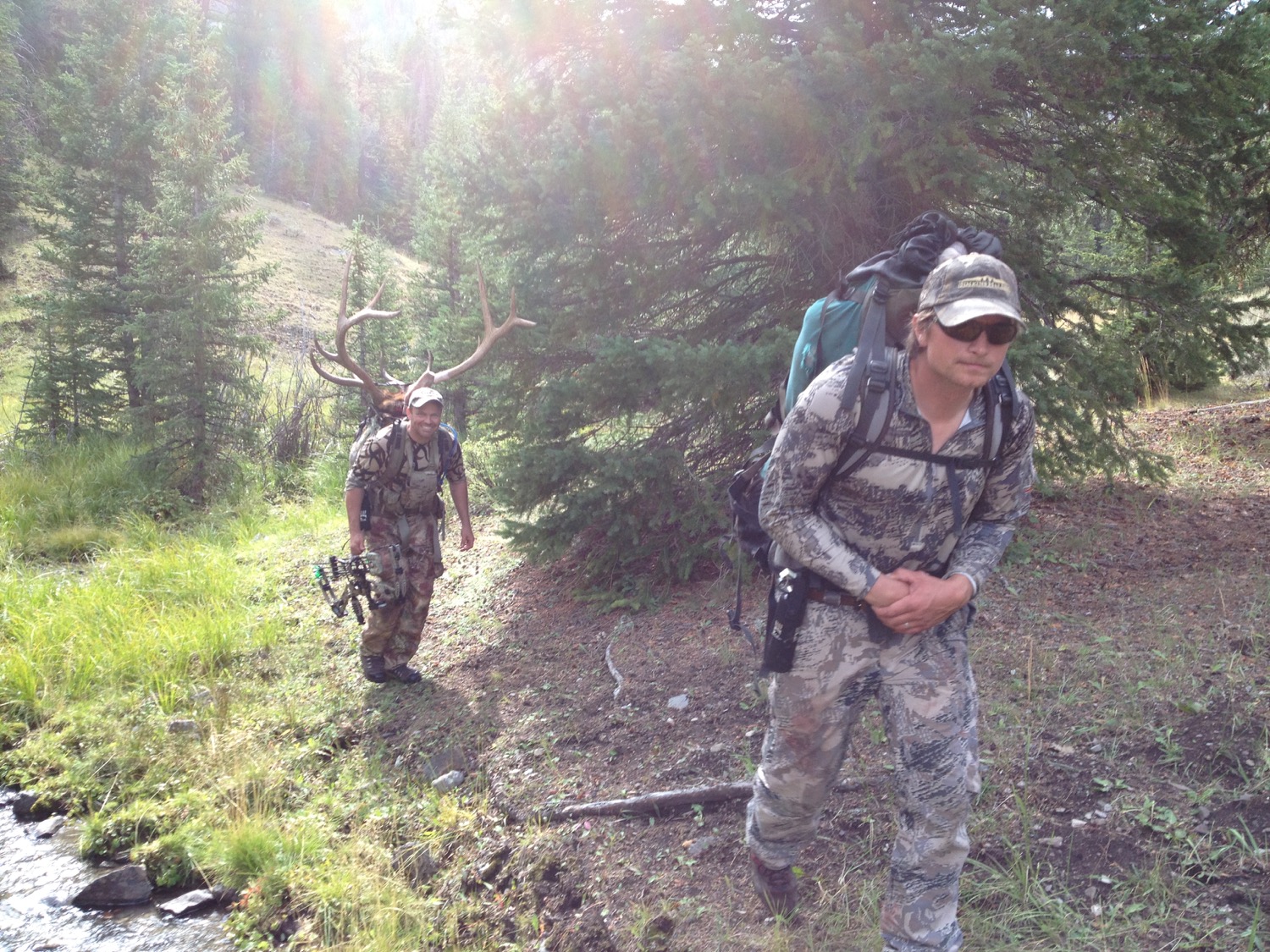 Bull elk down. Opening day of bow hunting season on the Idaho-Montana border. (Photo by Emily Stifler Wolfe)