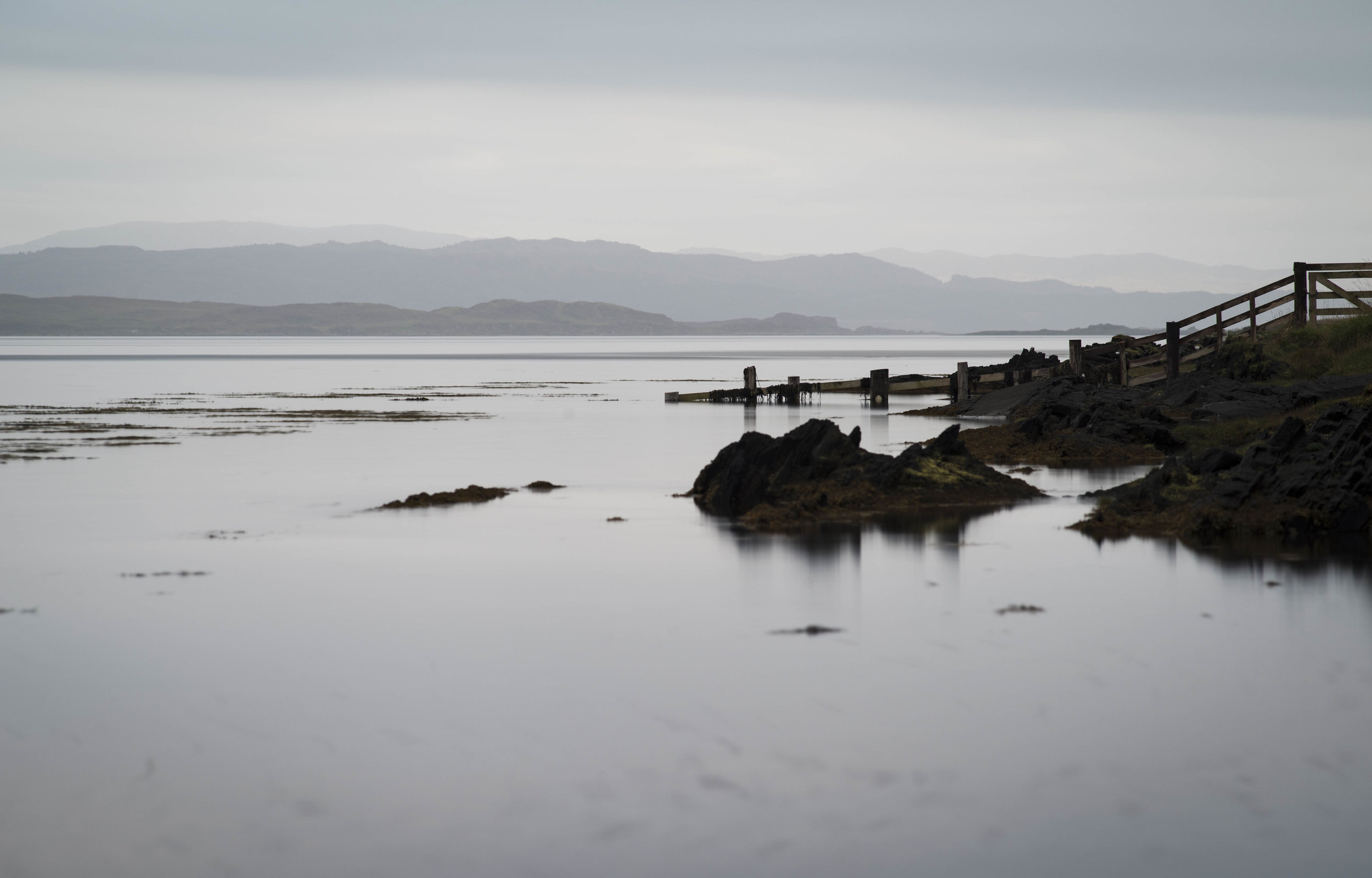 _DSC8474.jpg