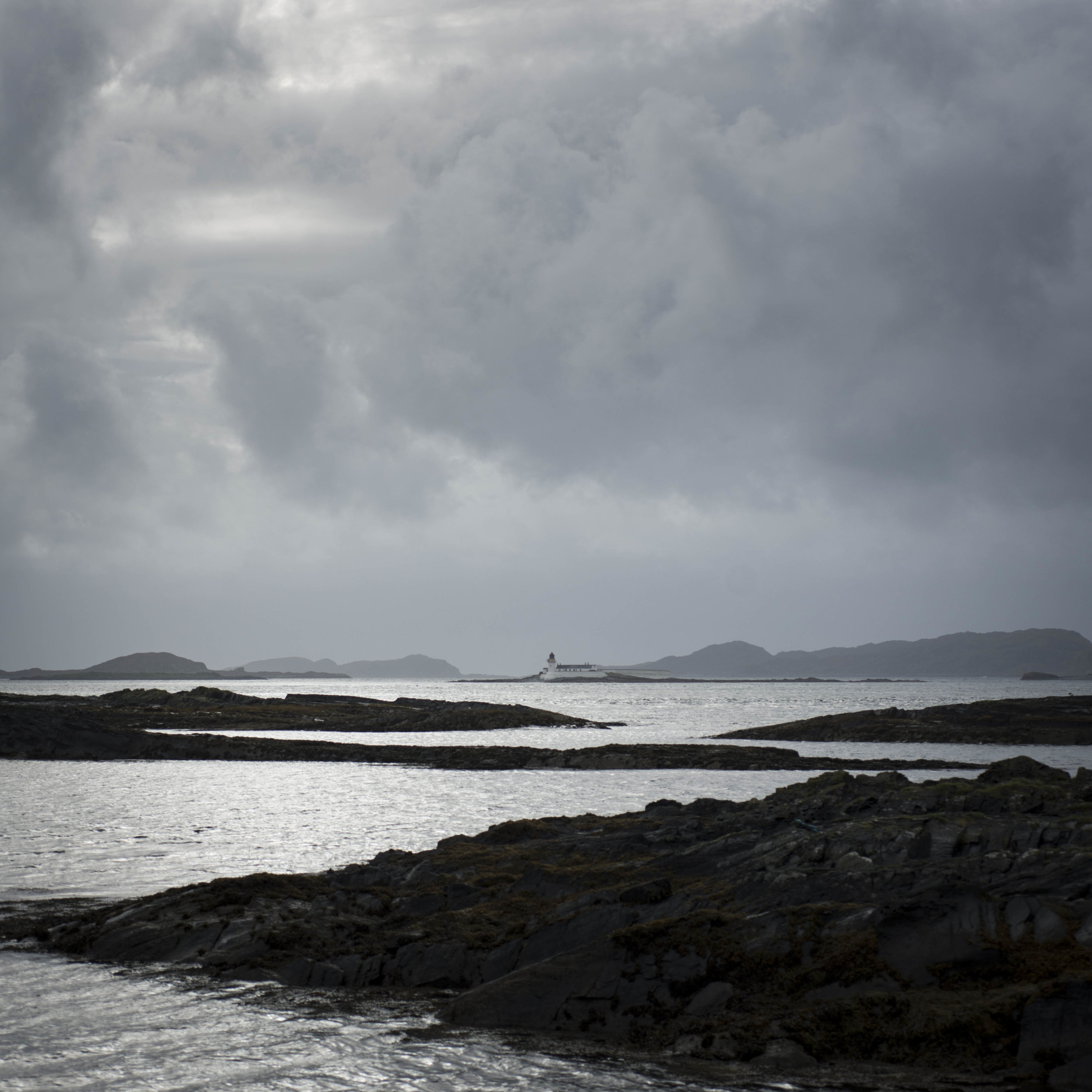 _DSC8886.jpg