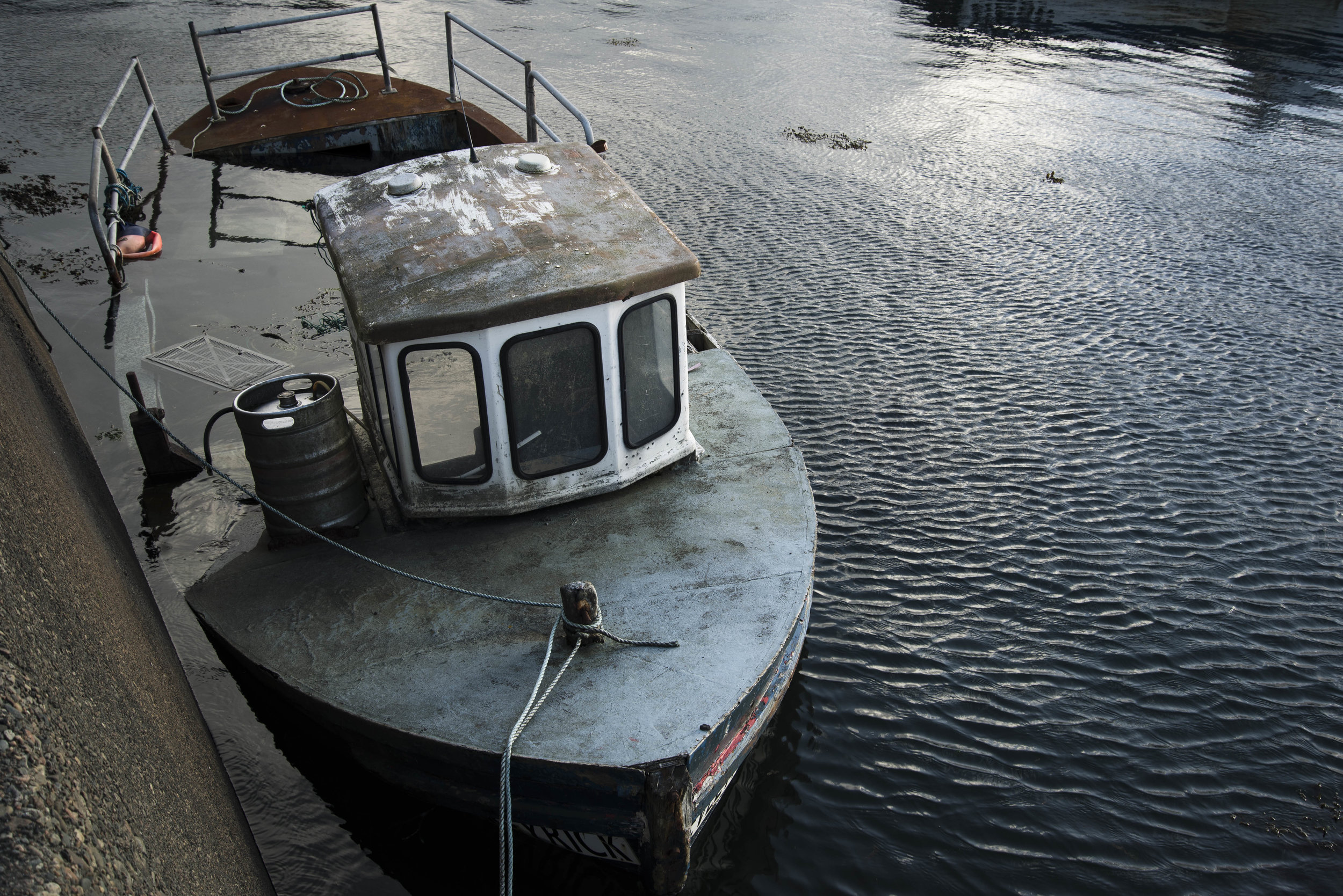 _DSC6356.jpg