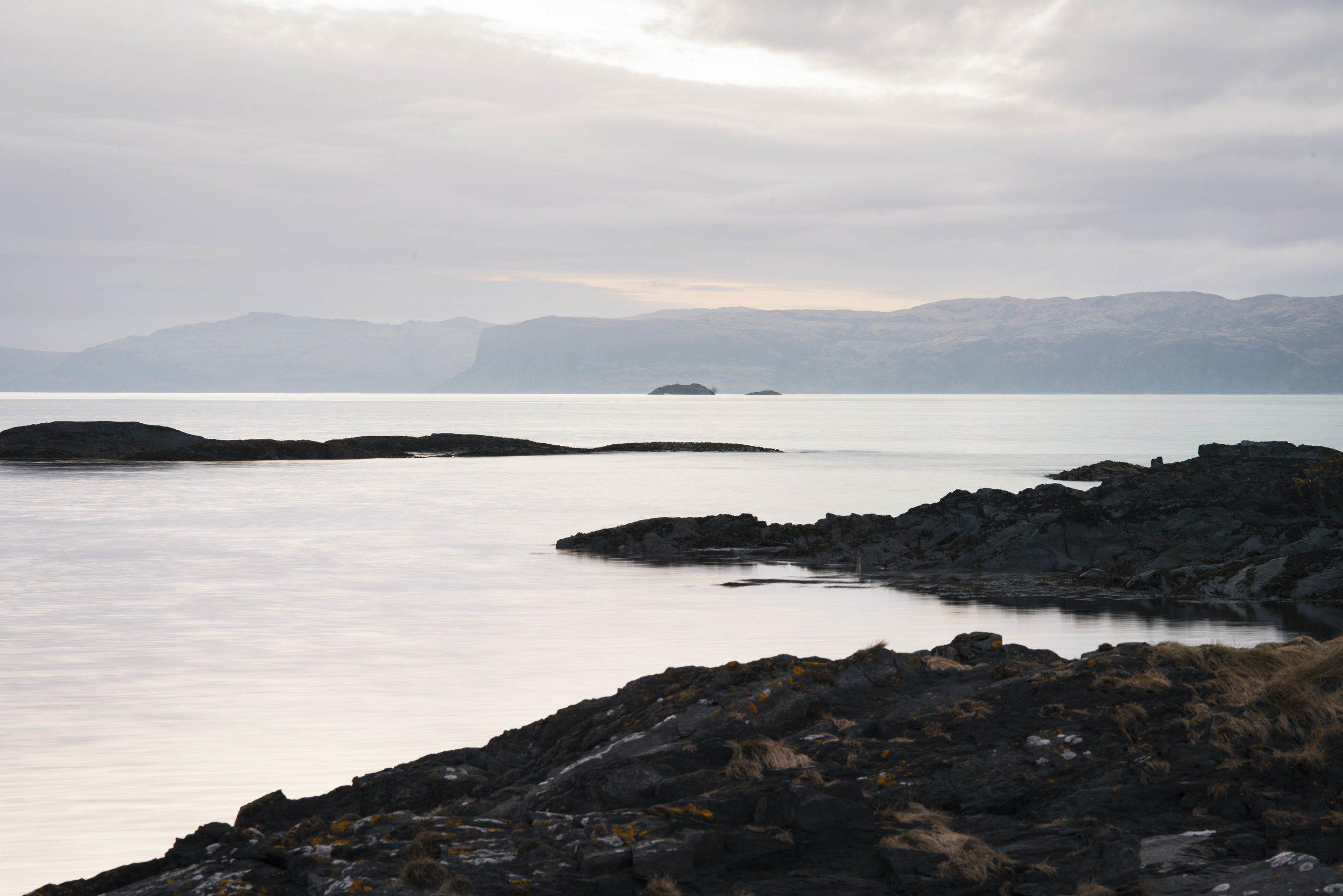 _DSC3674.jpg