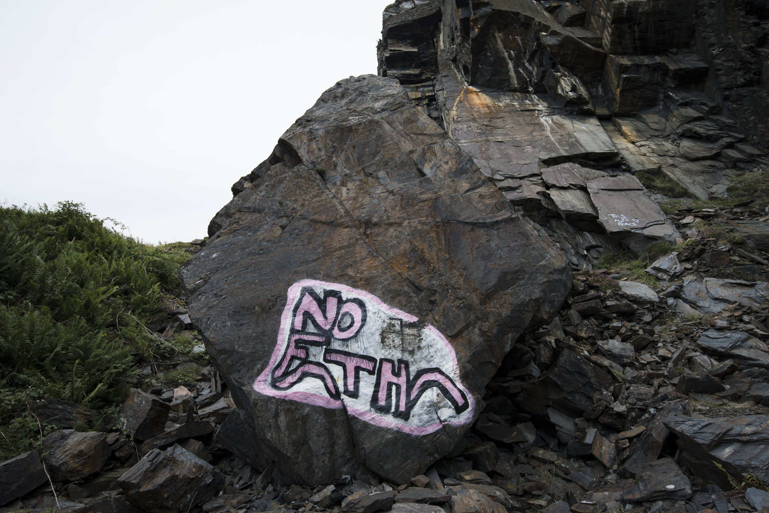 _DSC7772.jpg