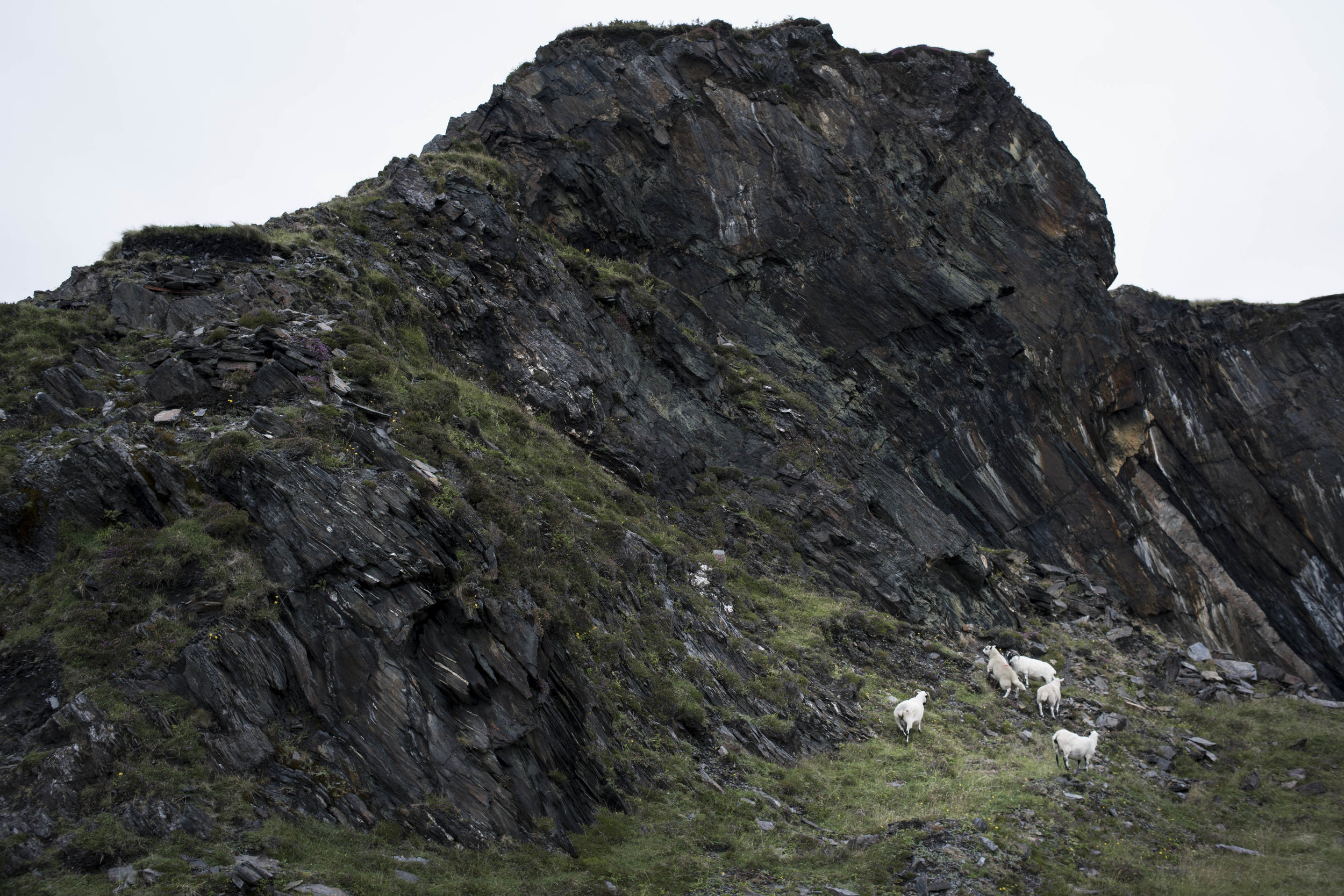 _DSC7744.jpg