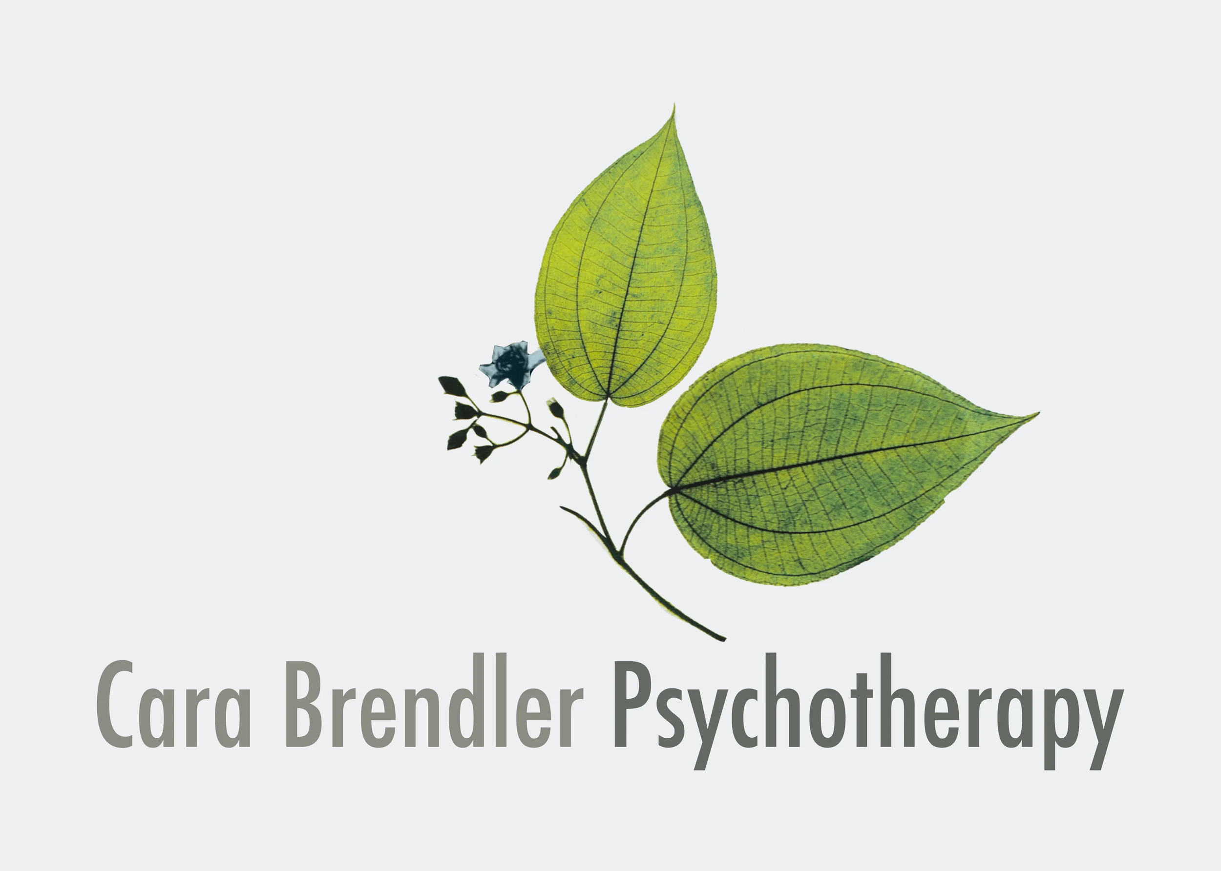 CaraBrendlerPsychotherapyLogowBkgrd+2.jpg