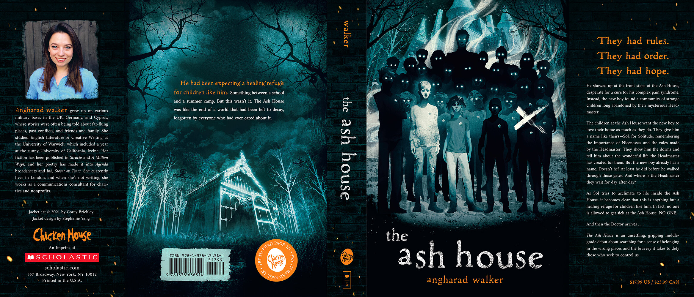The Ash House by Angharad Walker