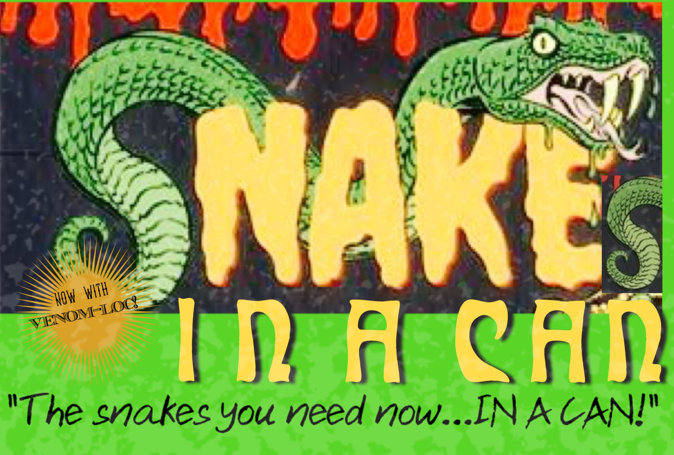 Don’t run out of snakes at your next party! Get an extra case of SNAKES IN A CAN!