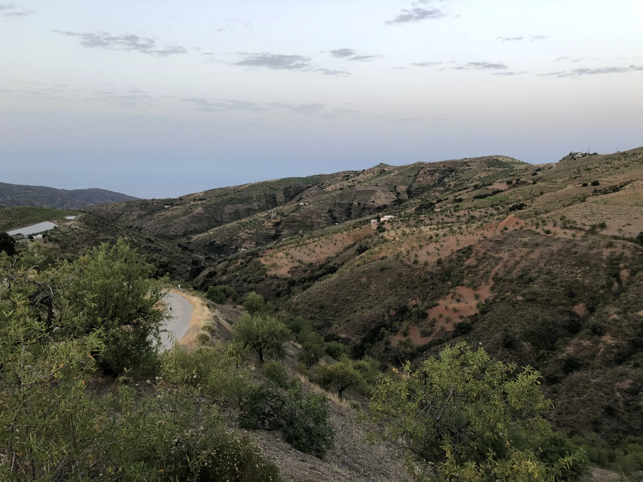 Spain. Not actually shit.