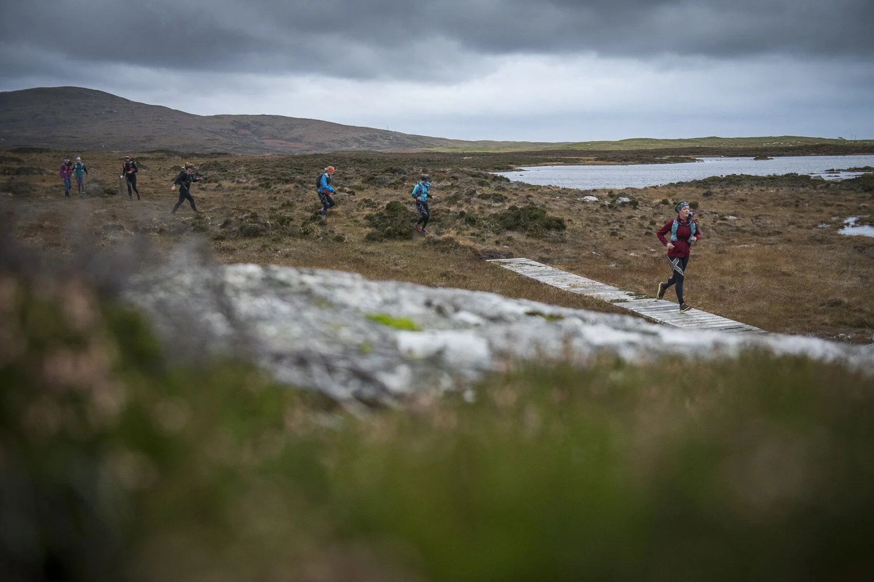 Dem bogs Photo: Leo Francis/Rat Race Adventure Sports