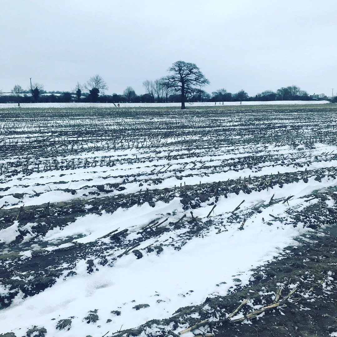 Heres a picture of the Millennium Way 50 from a couple of years ago. This is a field of semi frozen shit and mud. There was a lot of this. It can’t be as bad as this.