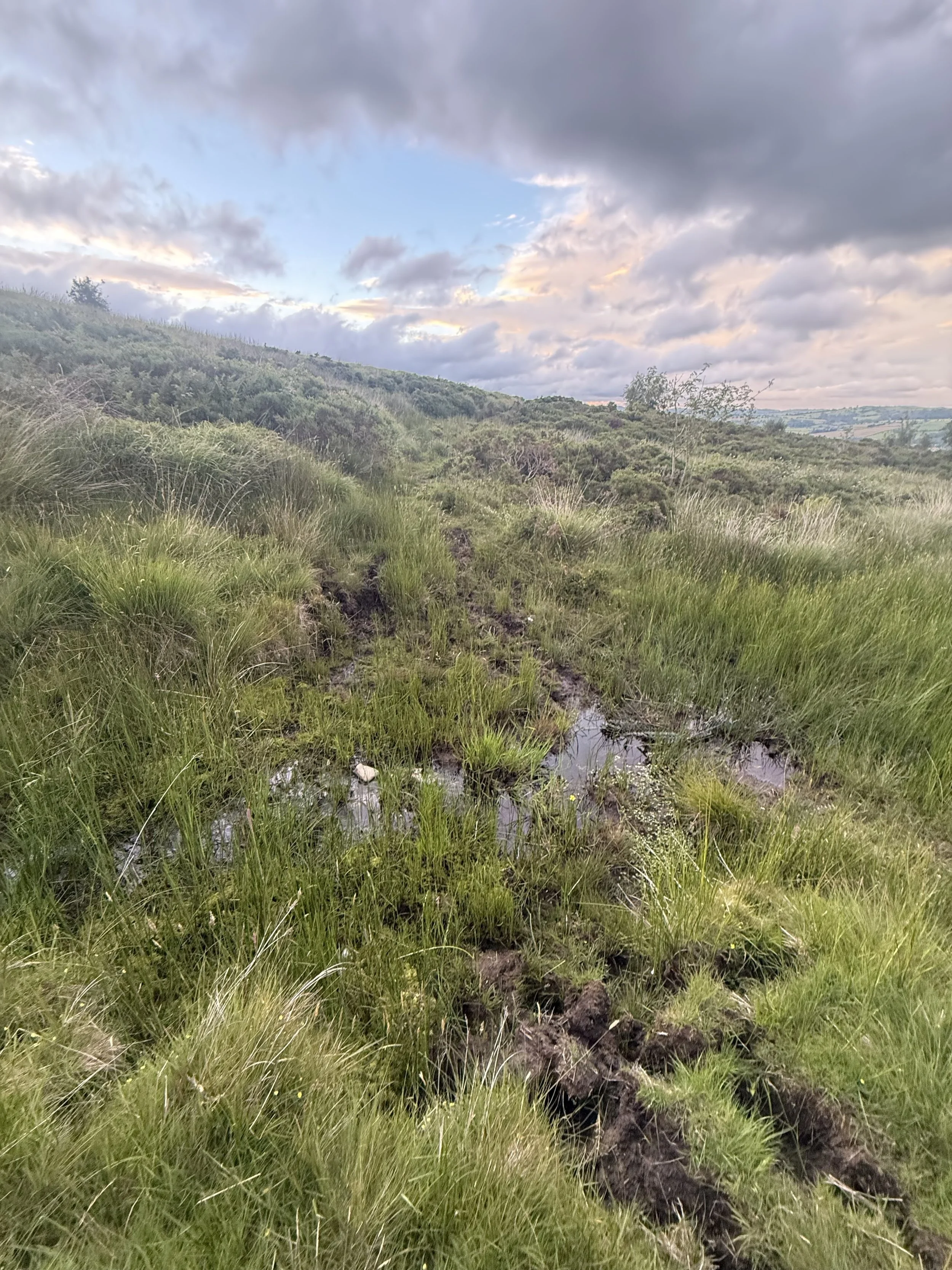 IMG_4961.jpg
