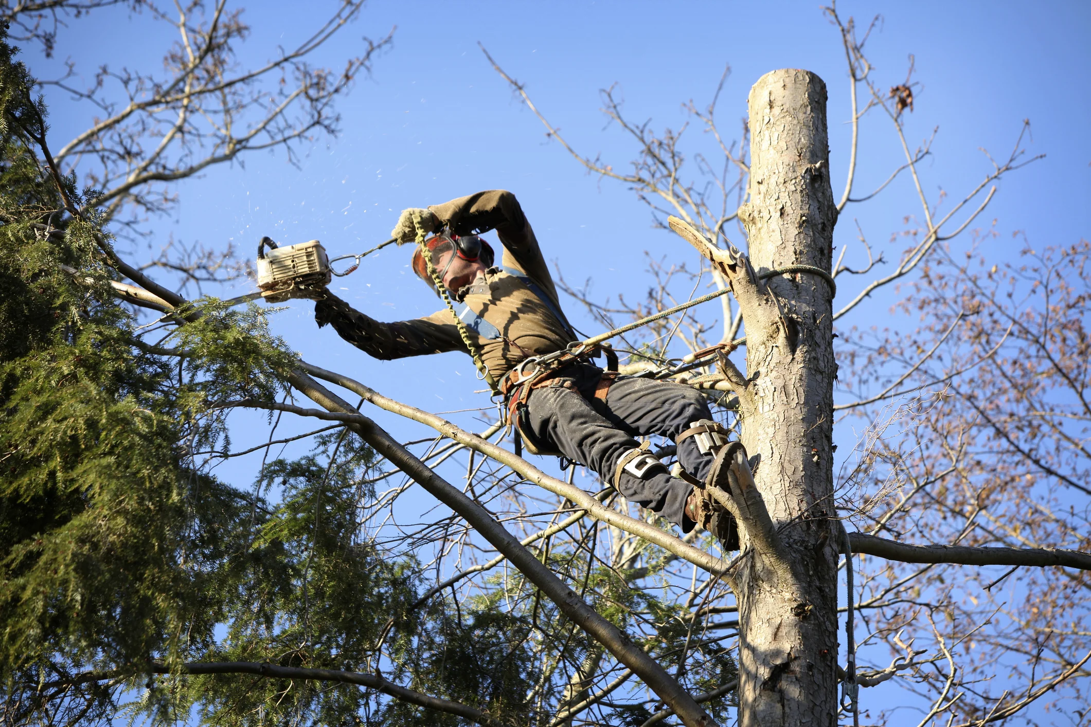 Photo by RainerPlendl/iStock / Getty Images