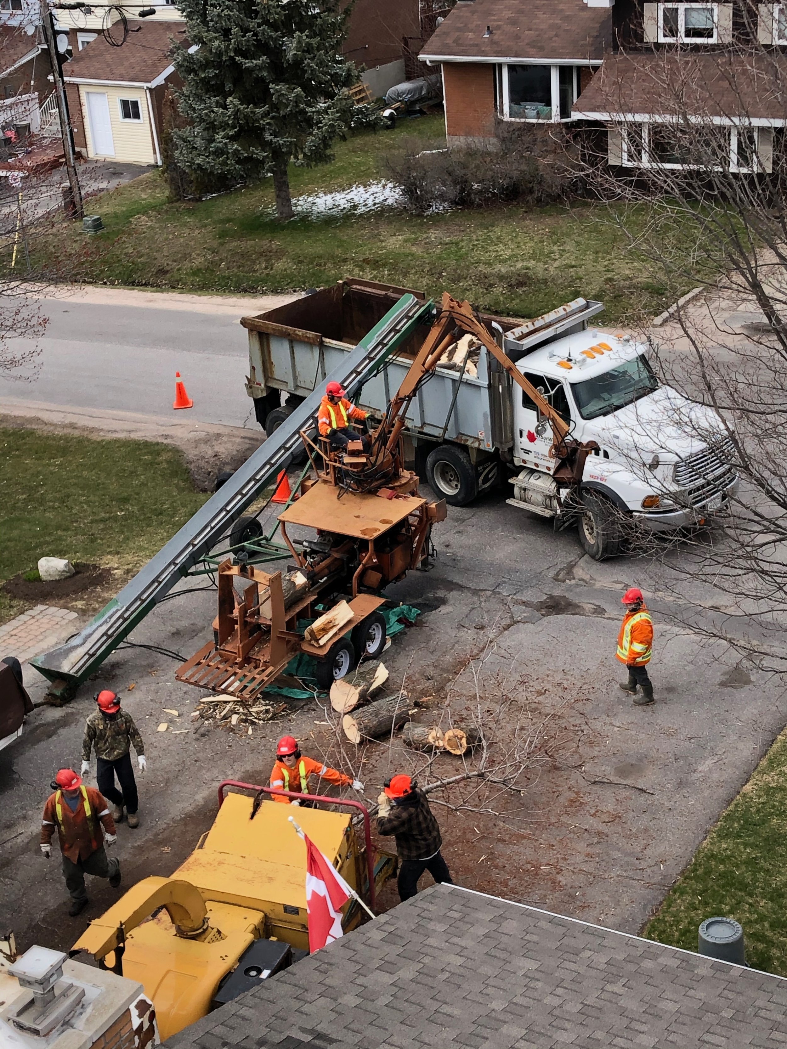 massive log splitting processing 4.jpg