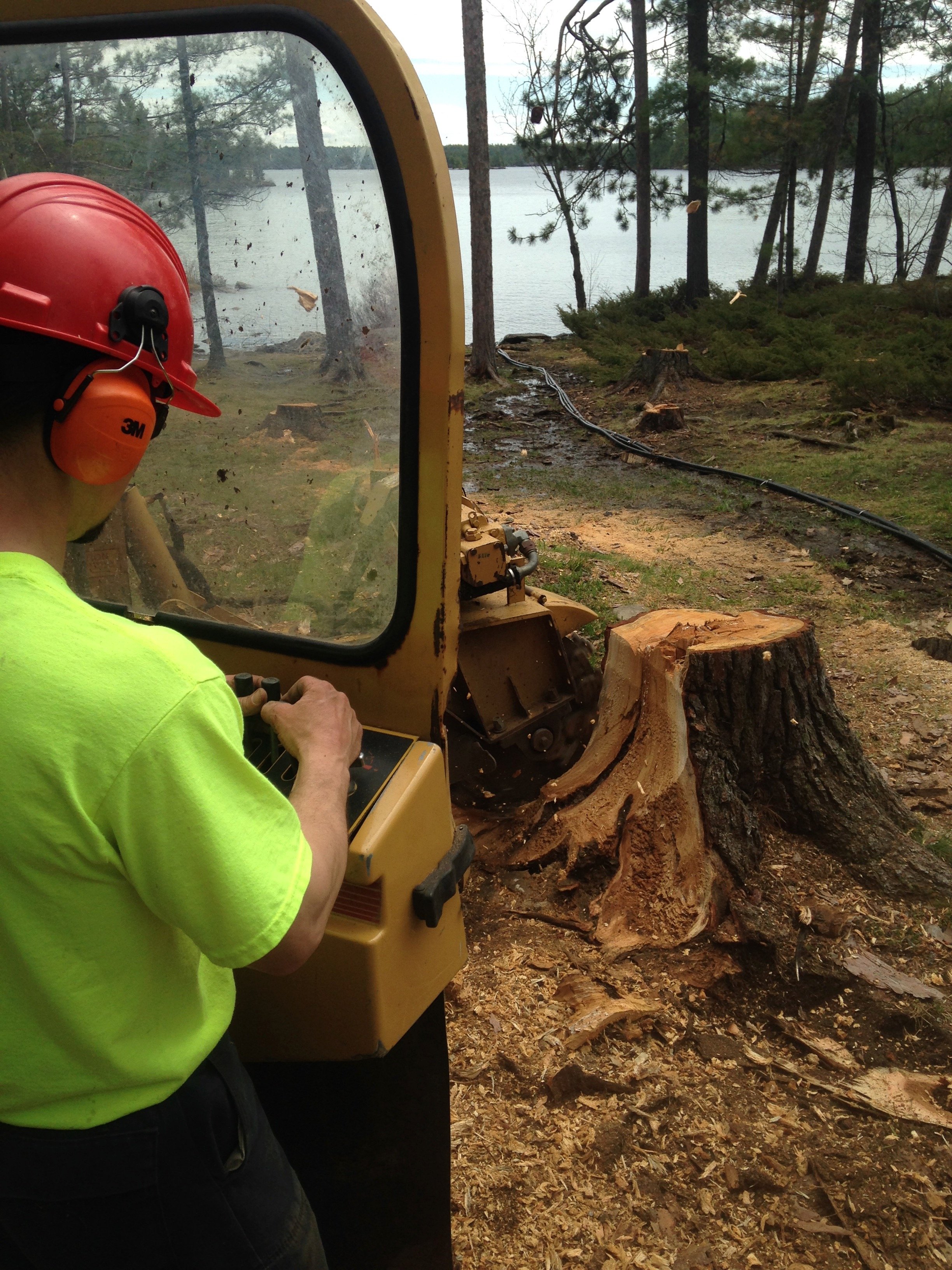 Stump grinding.jpg