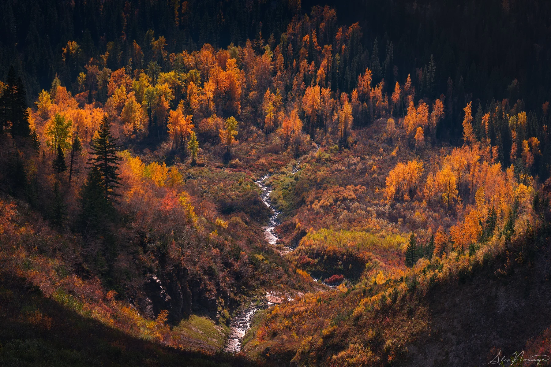 Autumn Amphitheater