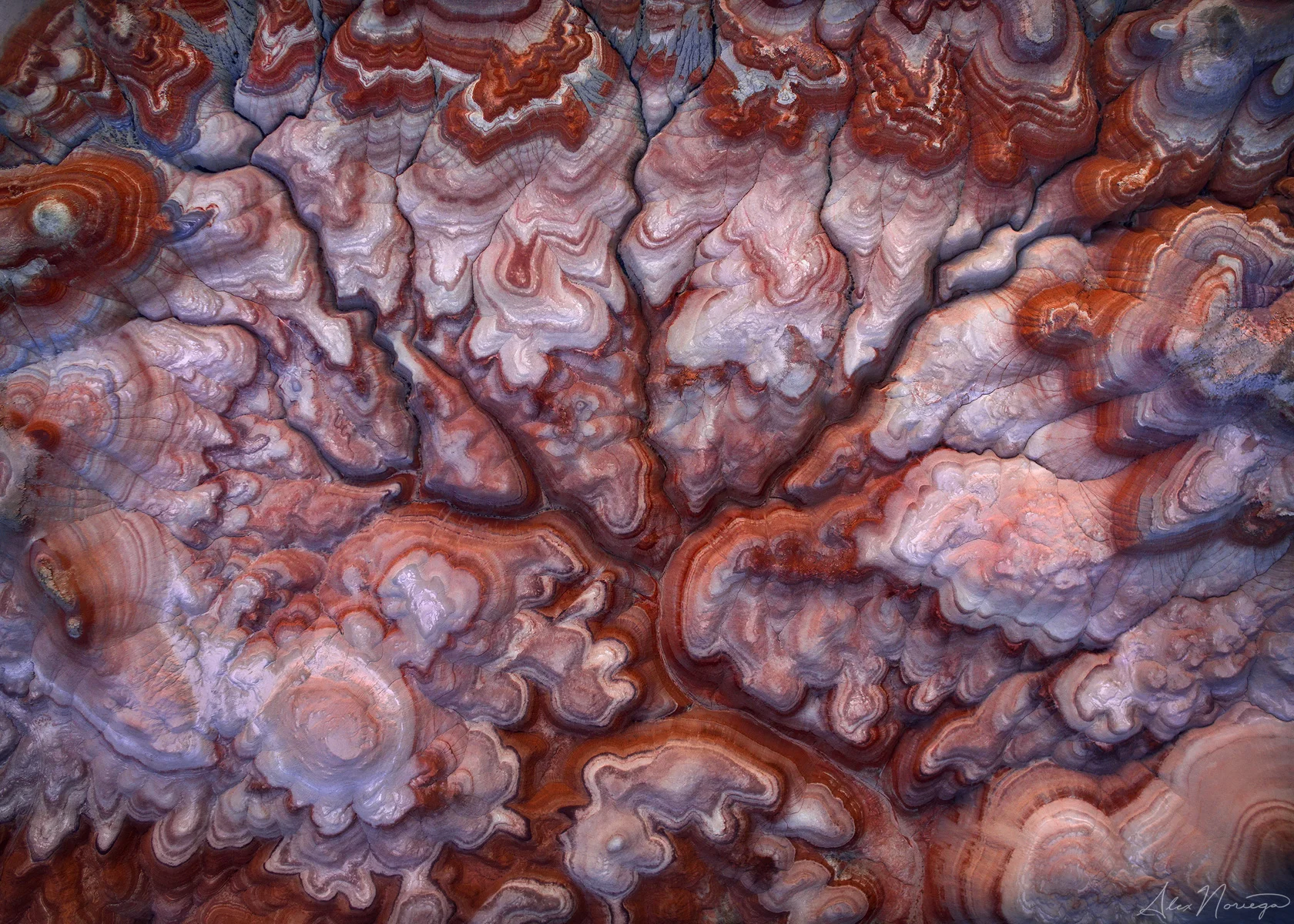 Mother Brain