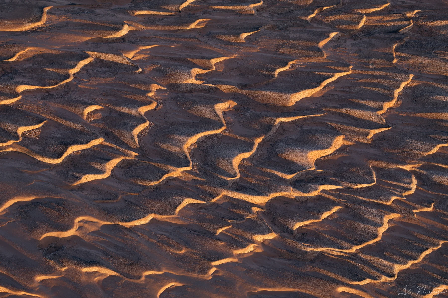 Mud Motion