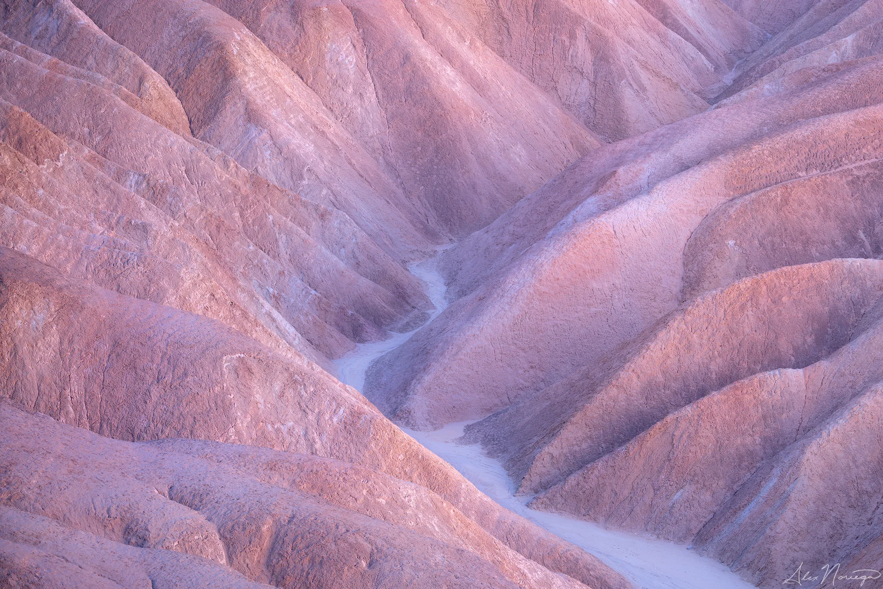 Pastel Path