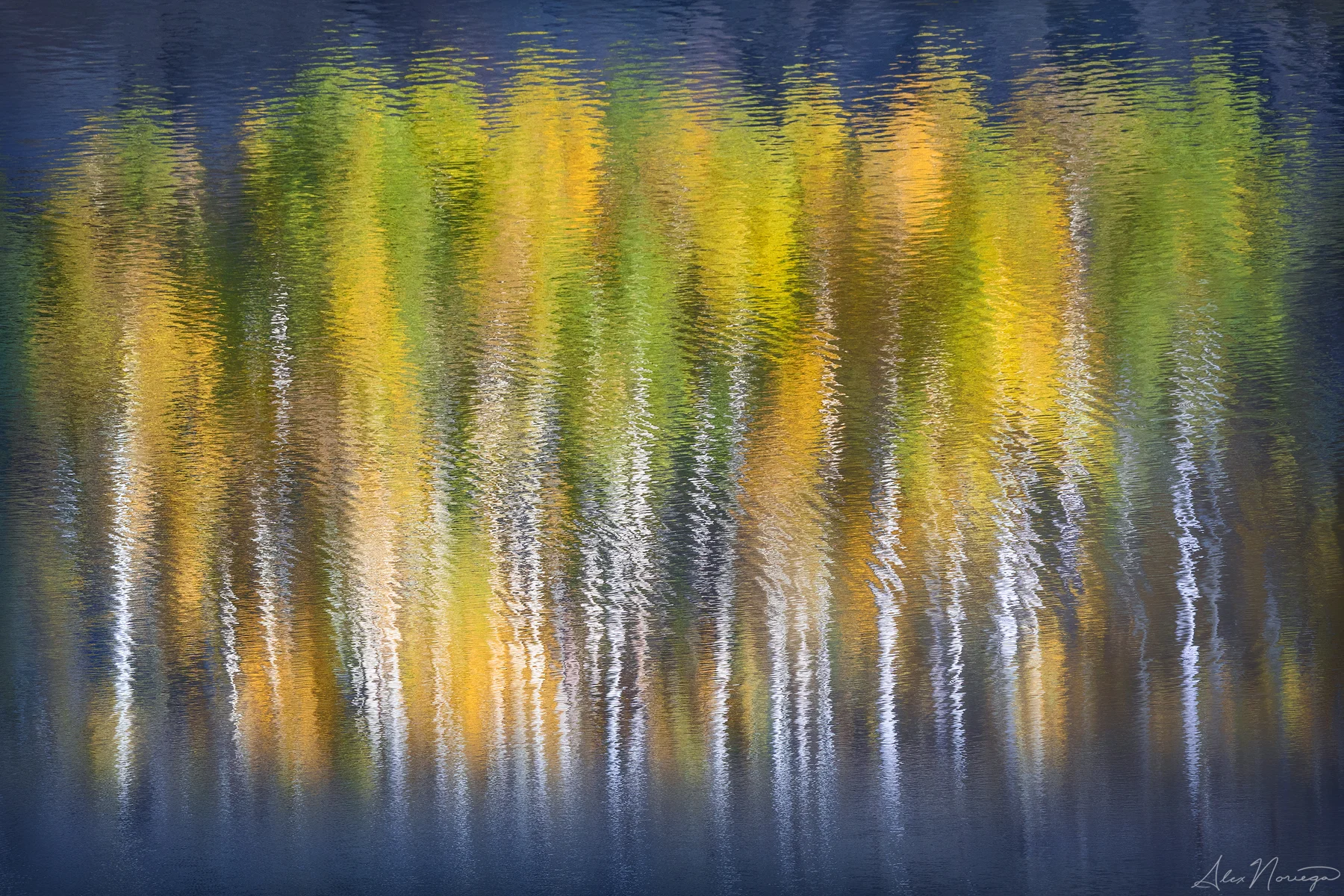IMPRESSIONS