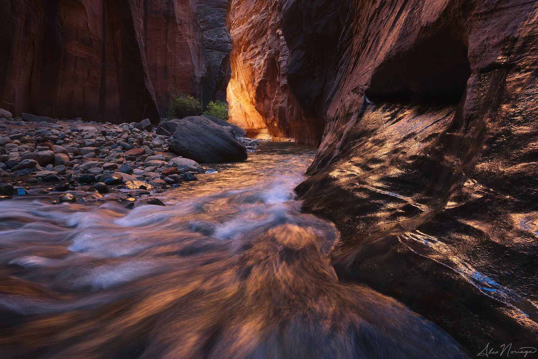 Serenade of Water