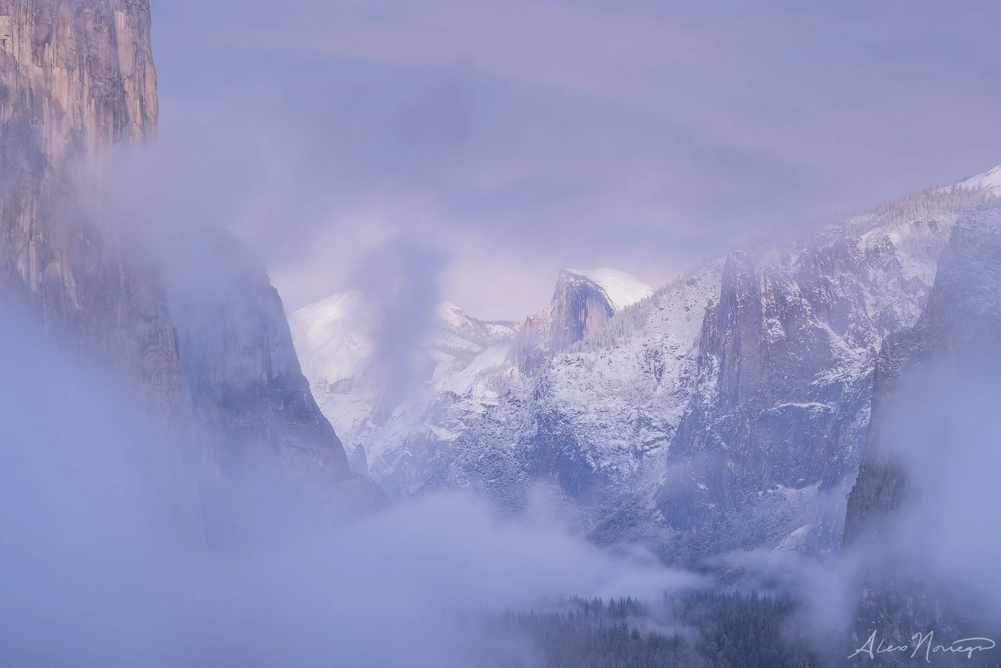 Frosted Dusk
