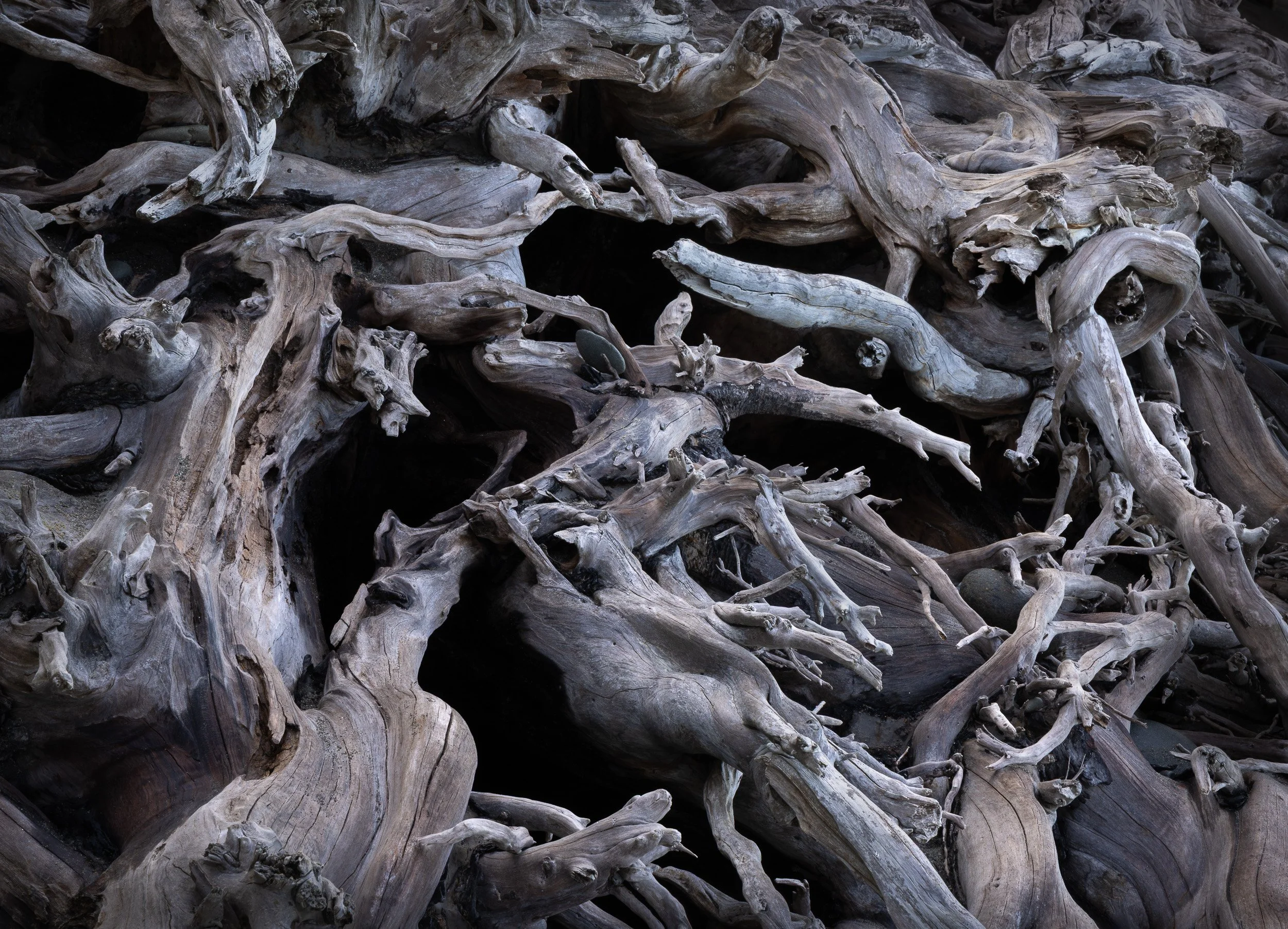 Bed of Chaos