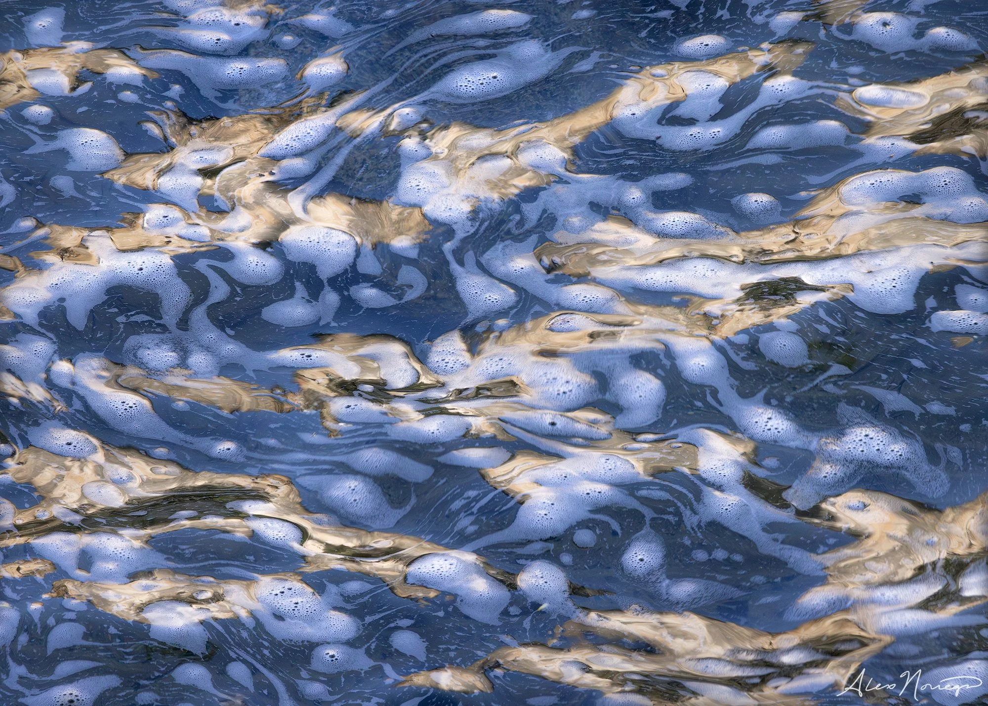 Tapestry in Motion