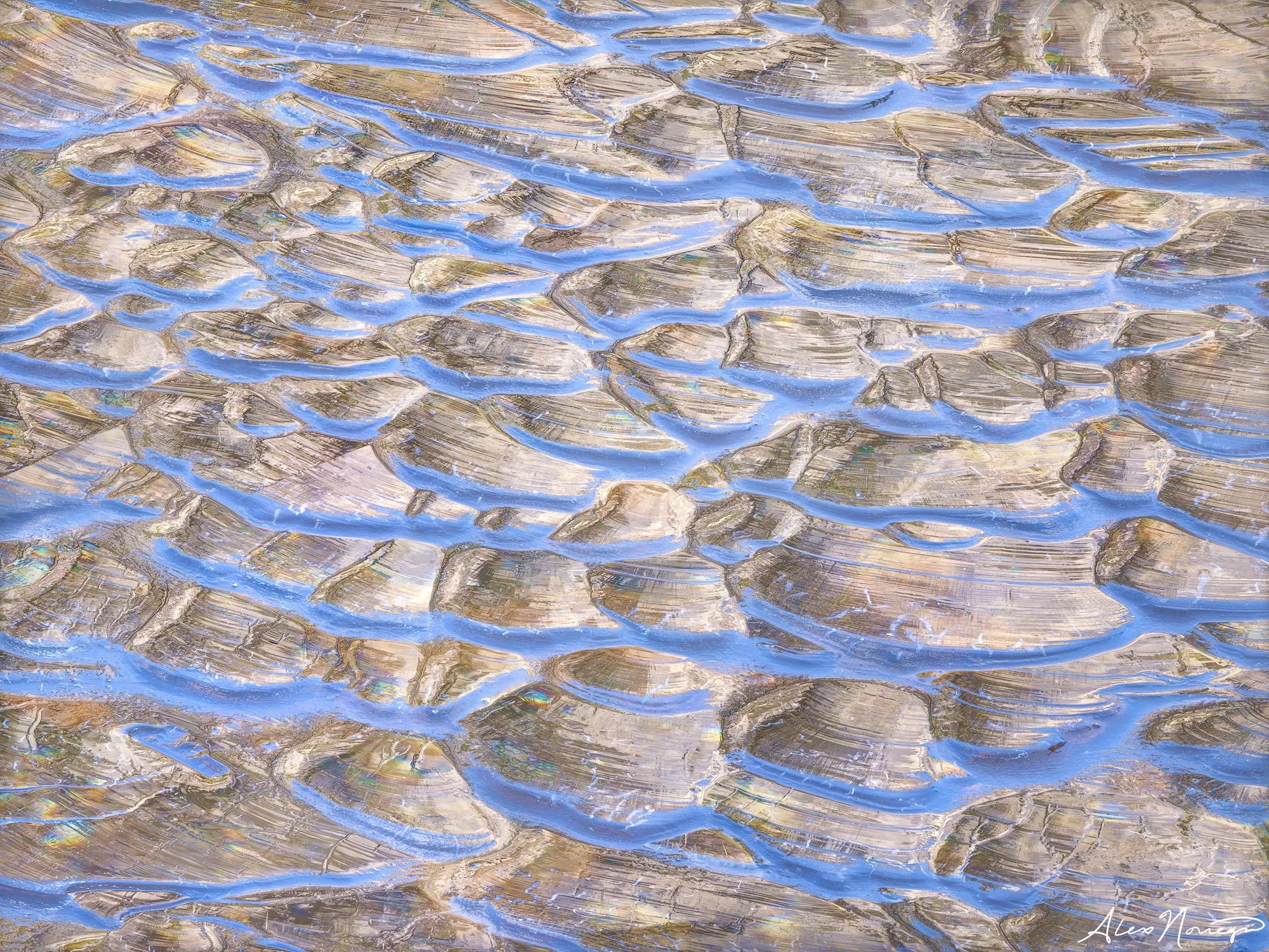 Abalone Streets