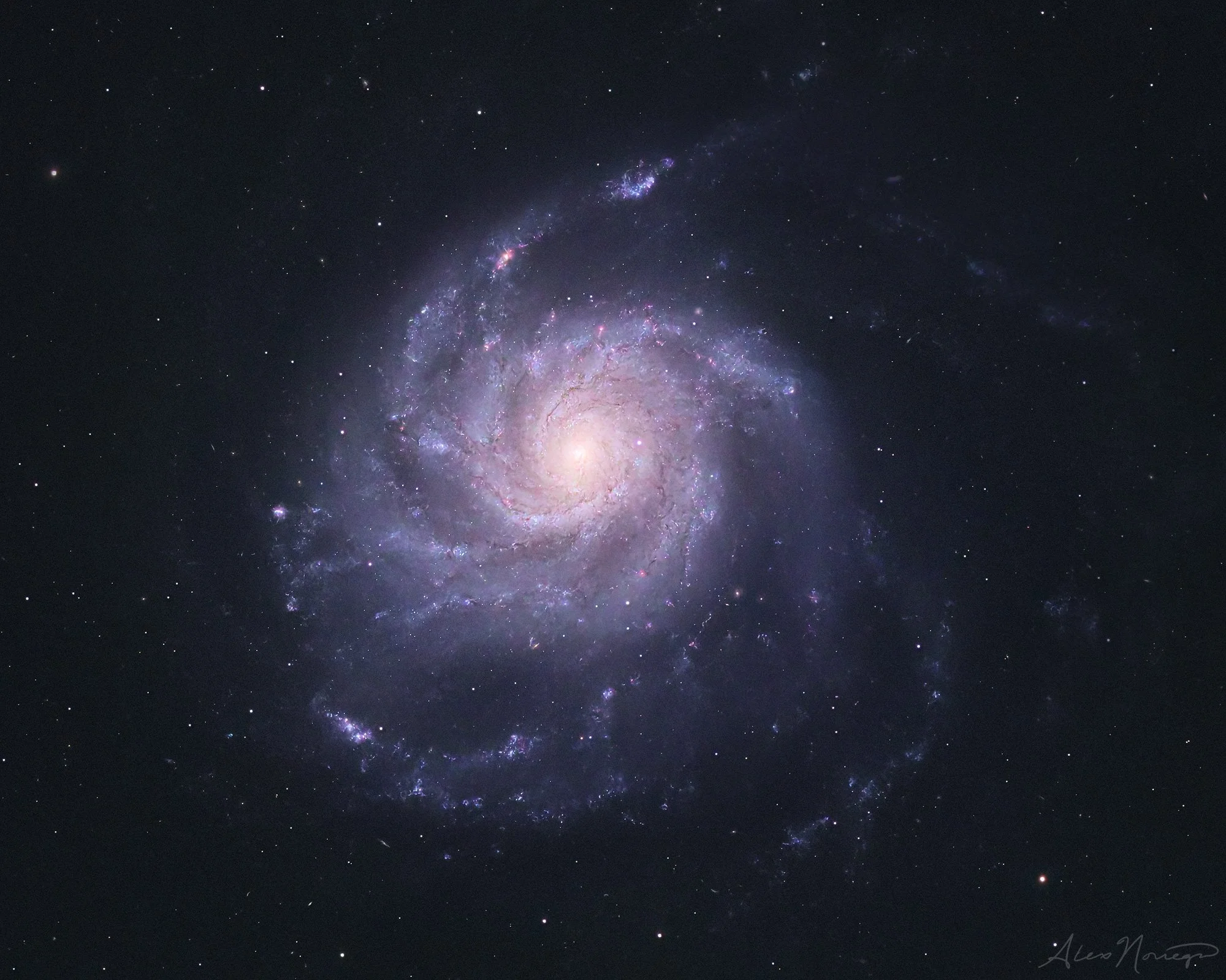 m101.jpg