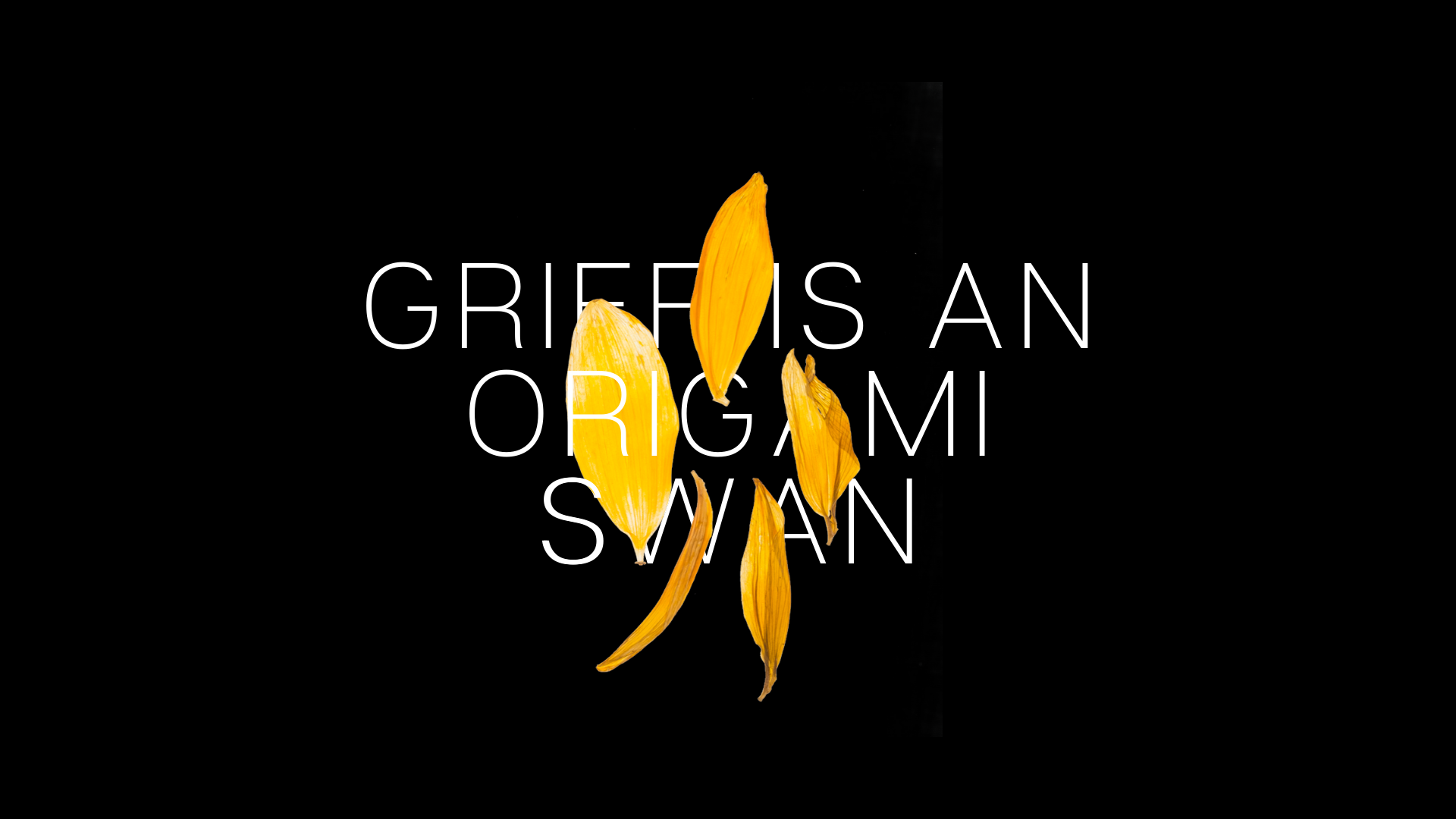 Grief is an Origami Swan_Project-2.png