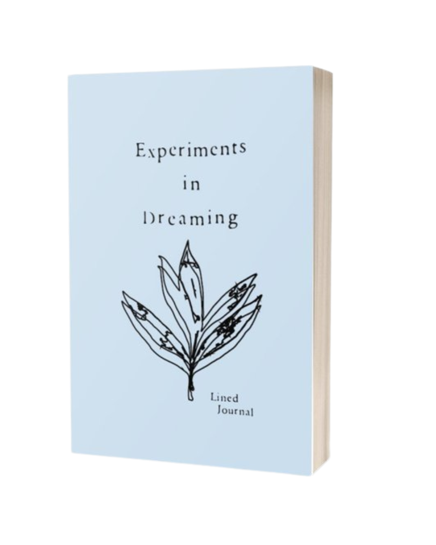 experiments-cover-mock-up.png