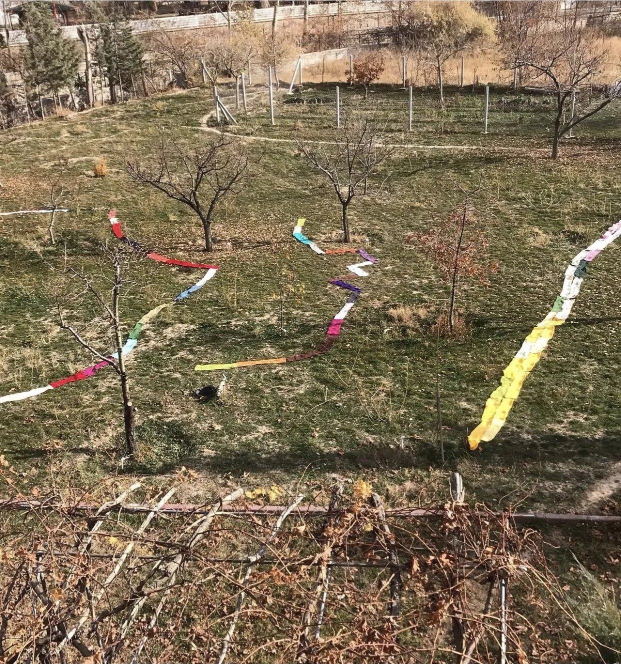 Still of video work: The Smell of Naphthalene, Konya, Turkiye, 2022