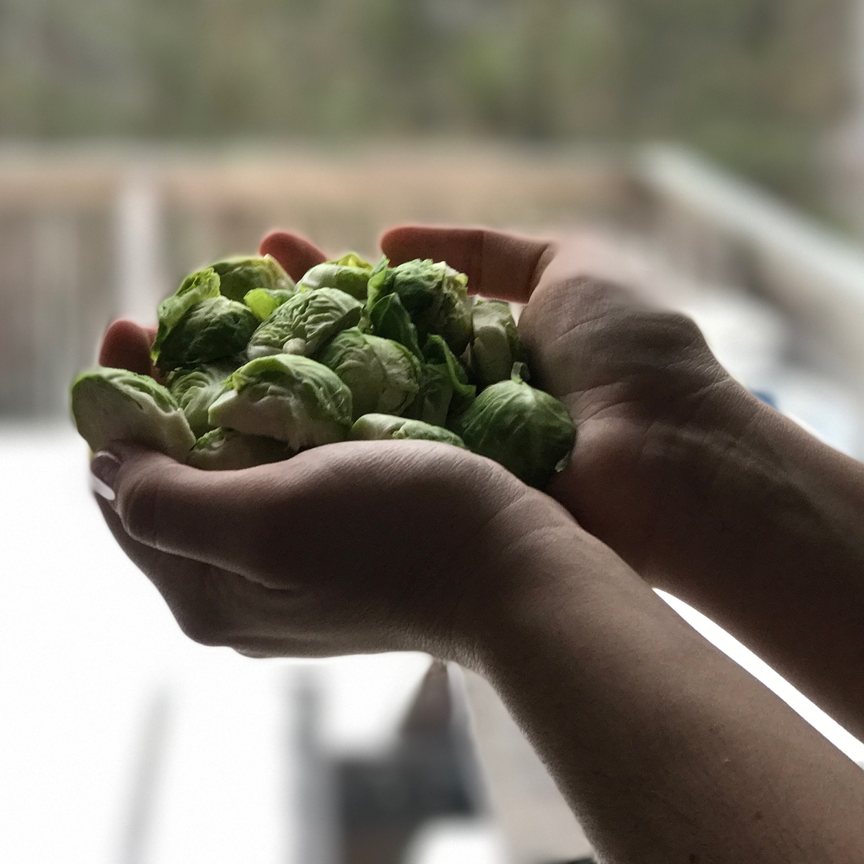 brusselsproutpasta_tactility.png