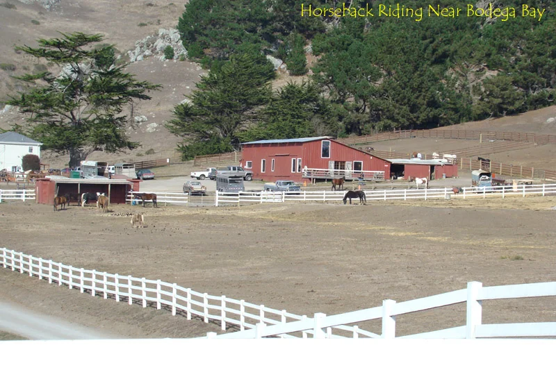 areaview52.jpg