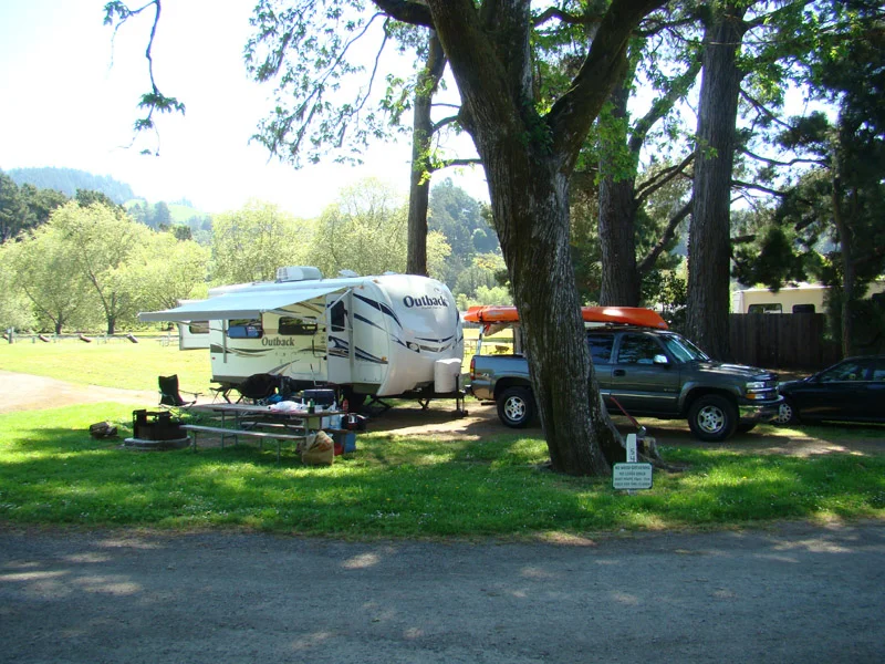 A shady piece of paradise!