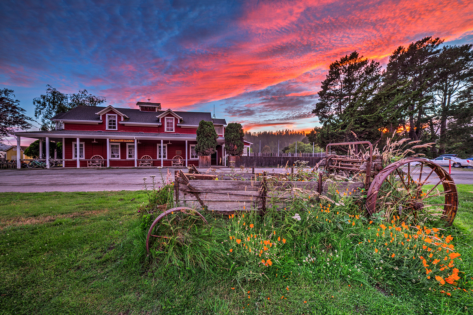 Casini-Wagon-Flowers-Barn_IMG_0239-Web.jpg