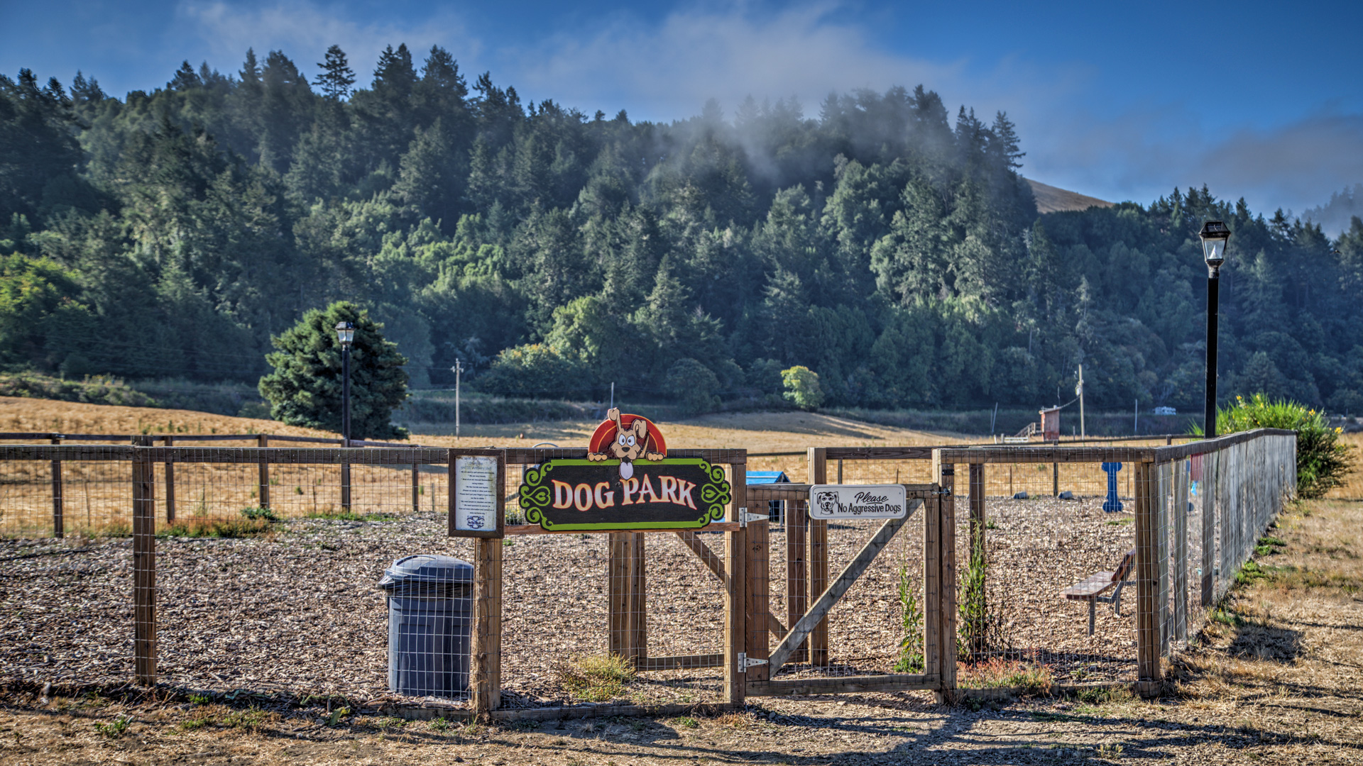 DogPark_IMG_8369.jpg