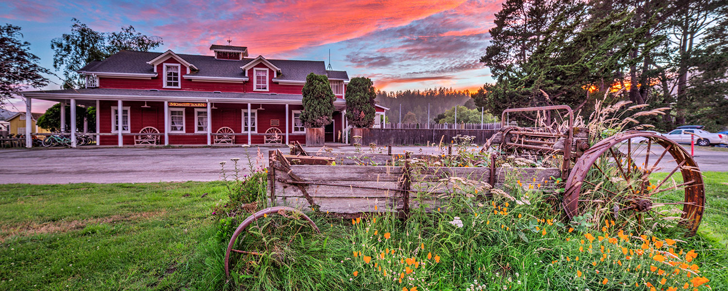 Casini-Ranch-Wagon-Flowers-Barn_IMG_0239.jpg