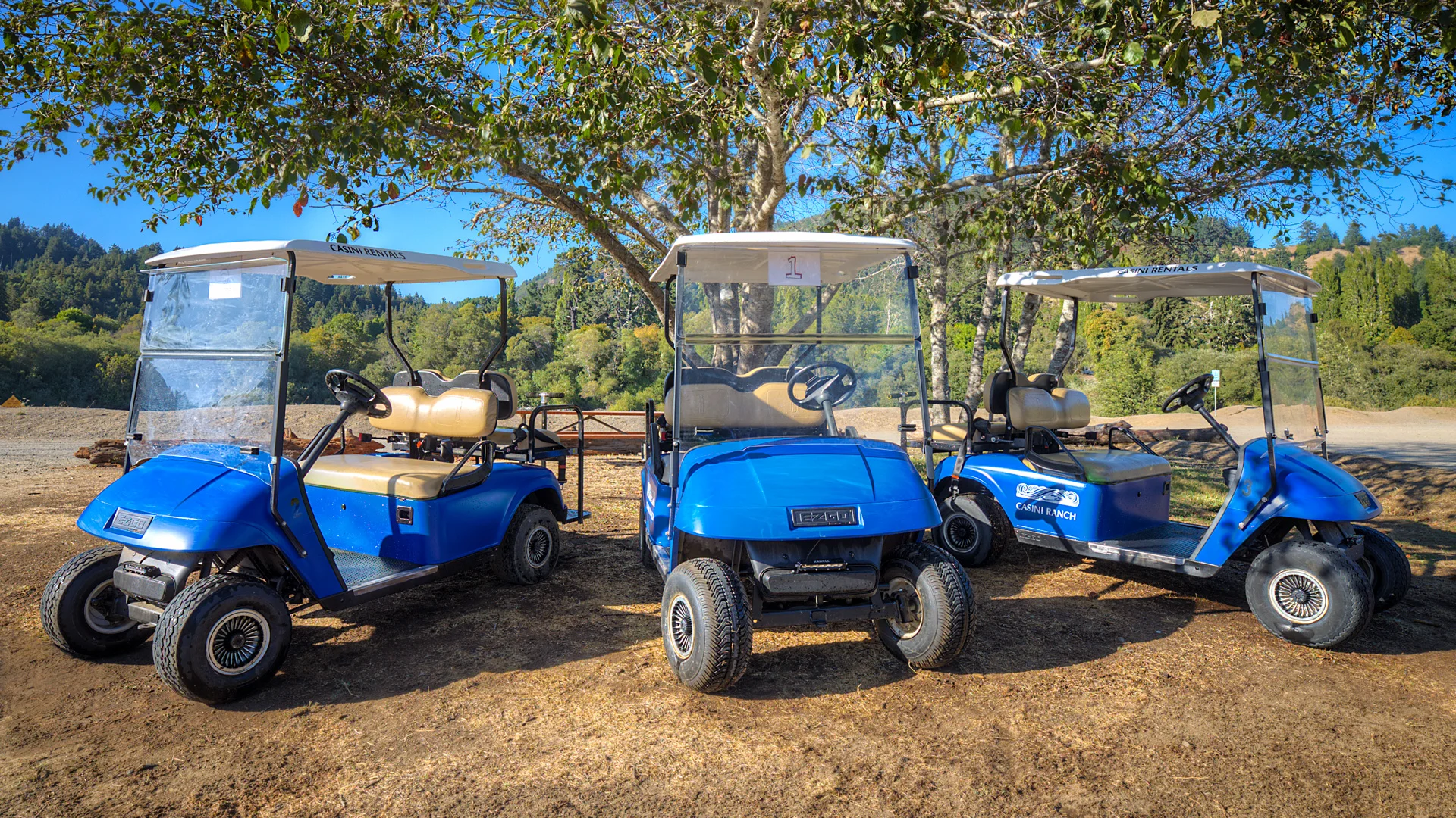 Golf Carts for Rent