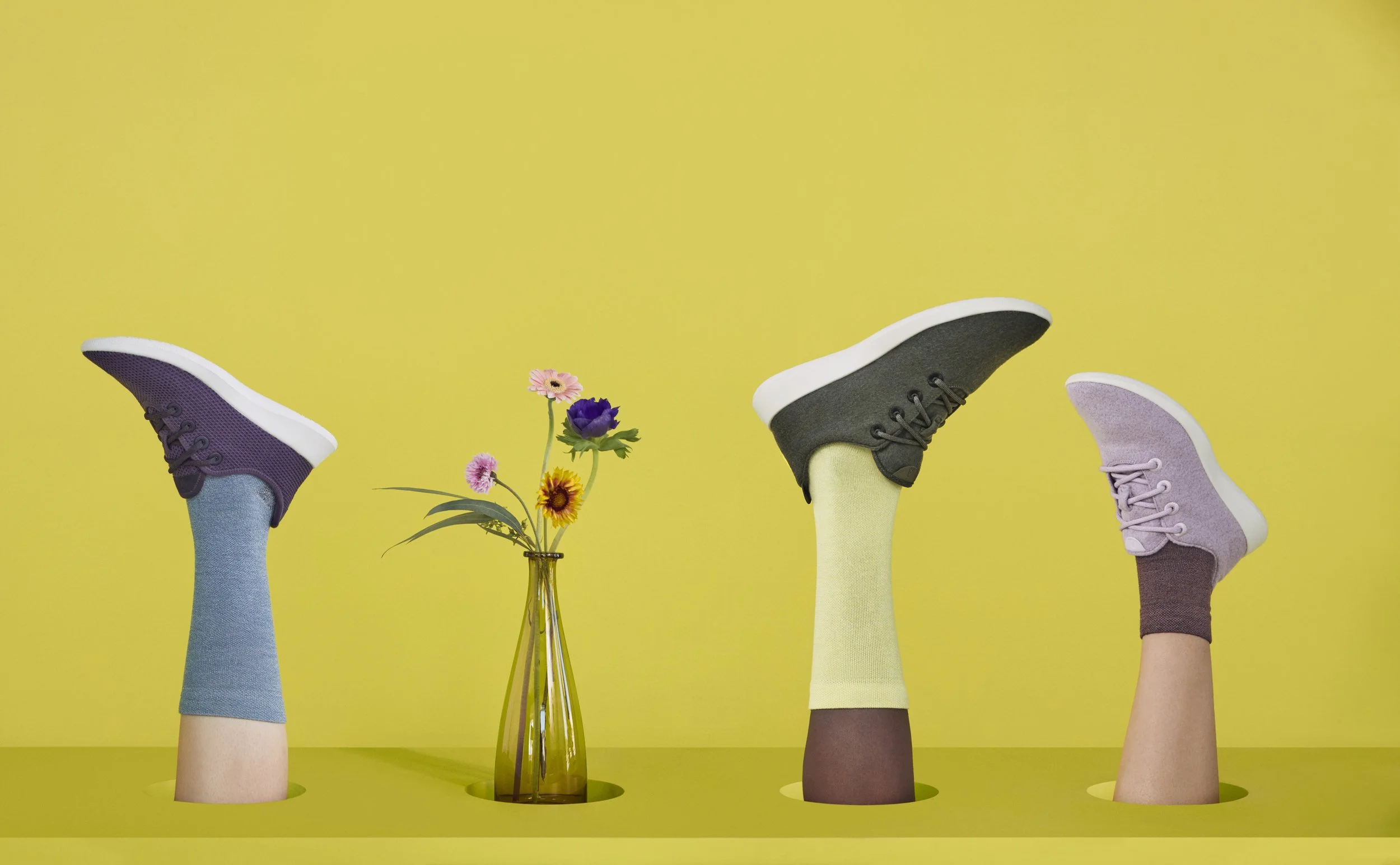 Socks_Email_Header_1_LV.jpg