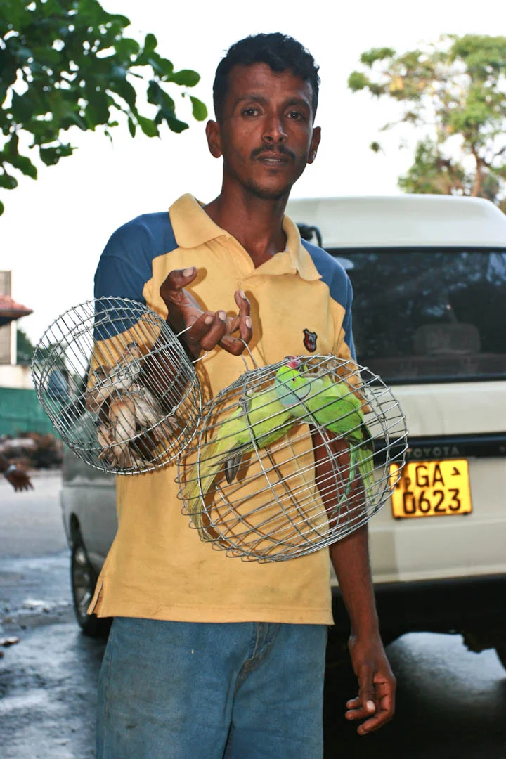 Colombo parrot man.jpg