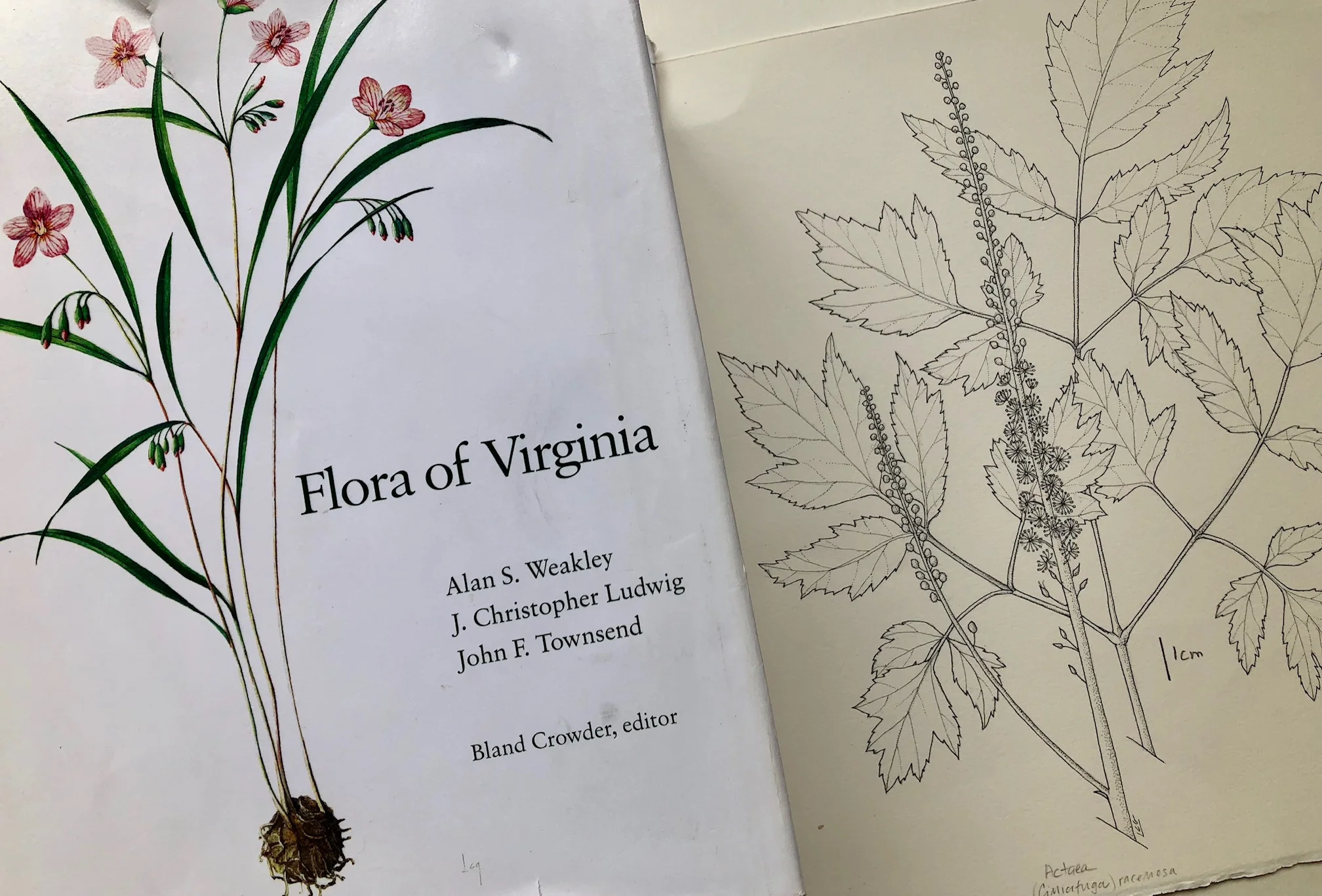 florabook.jpg