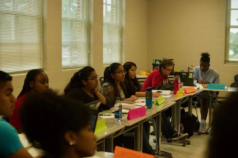 Why STEM Summer Institute? In their own words...