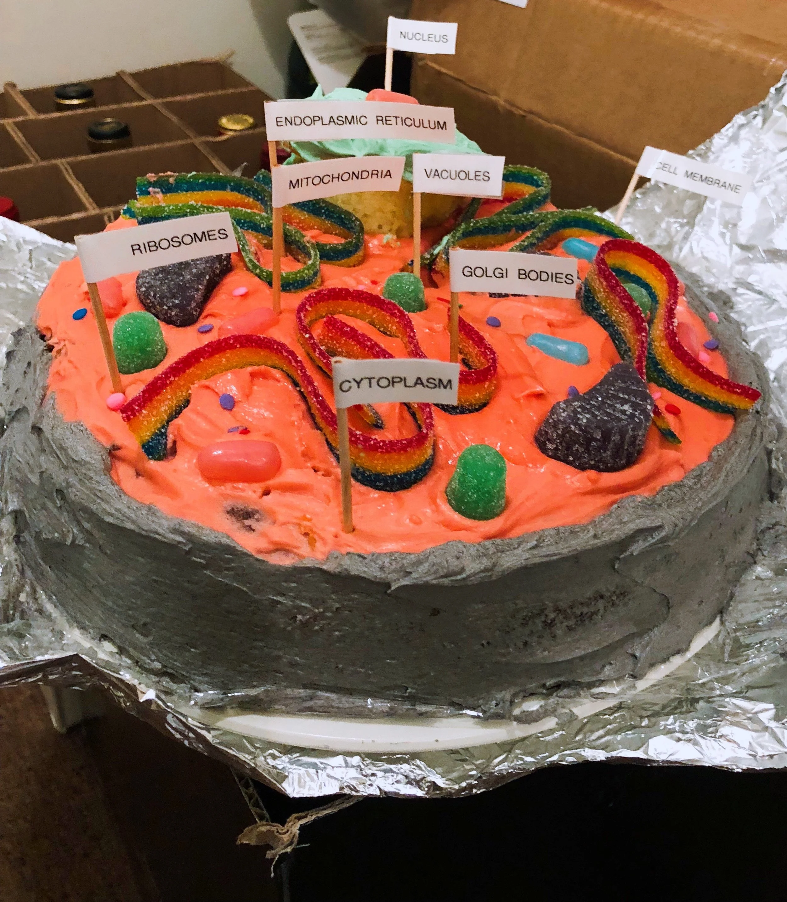 Animal Cell Cake