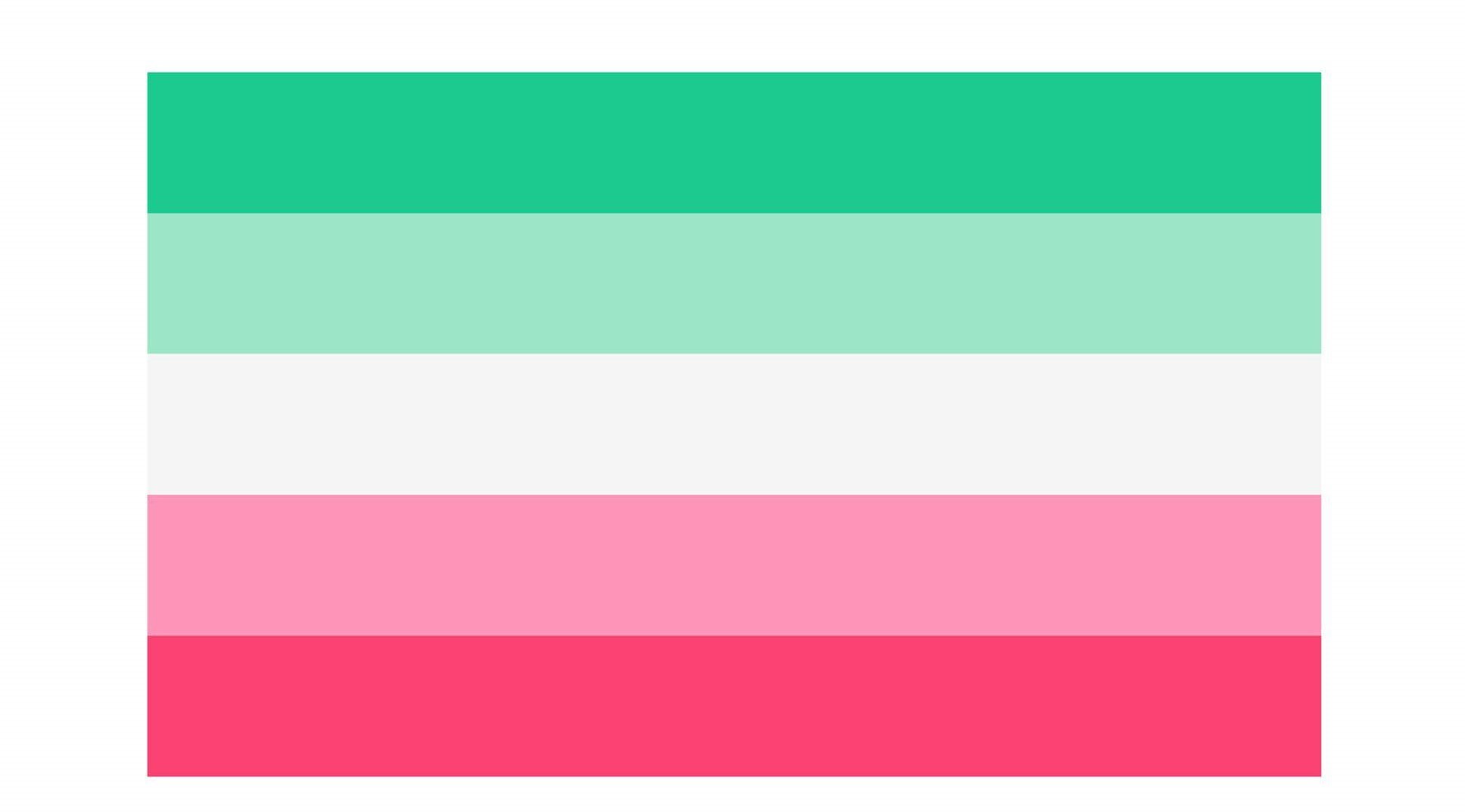 A Comprehensive Guide to Pride Flags and their Meanings | SFGMC (2023)