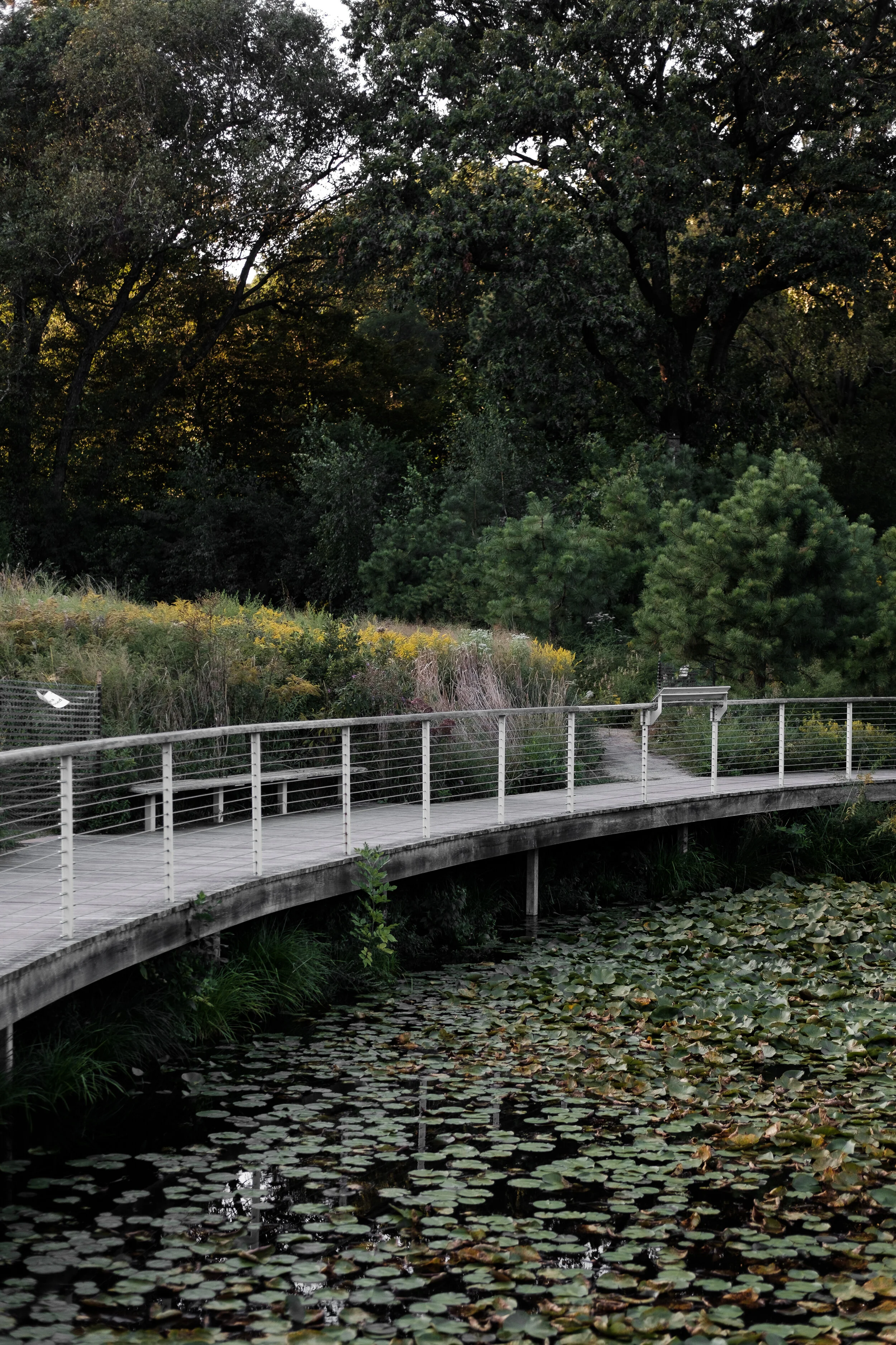 BBG_Sept2020-11.jpg