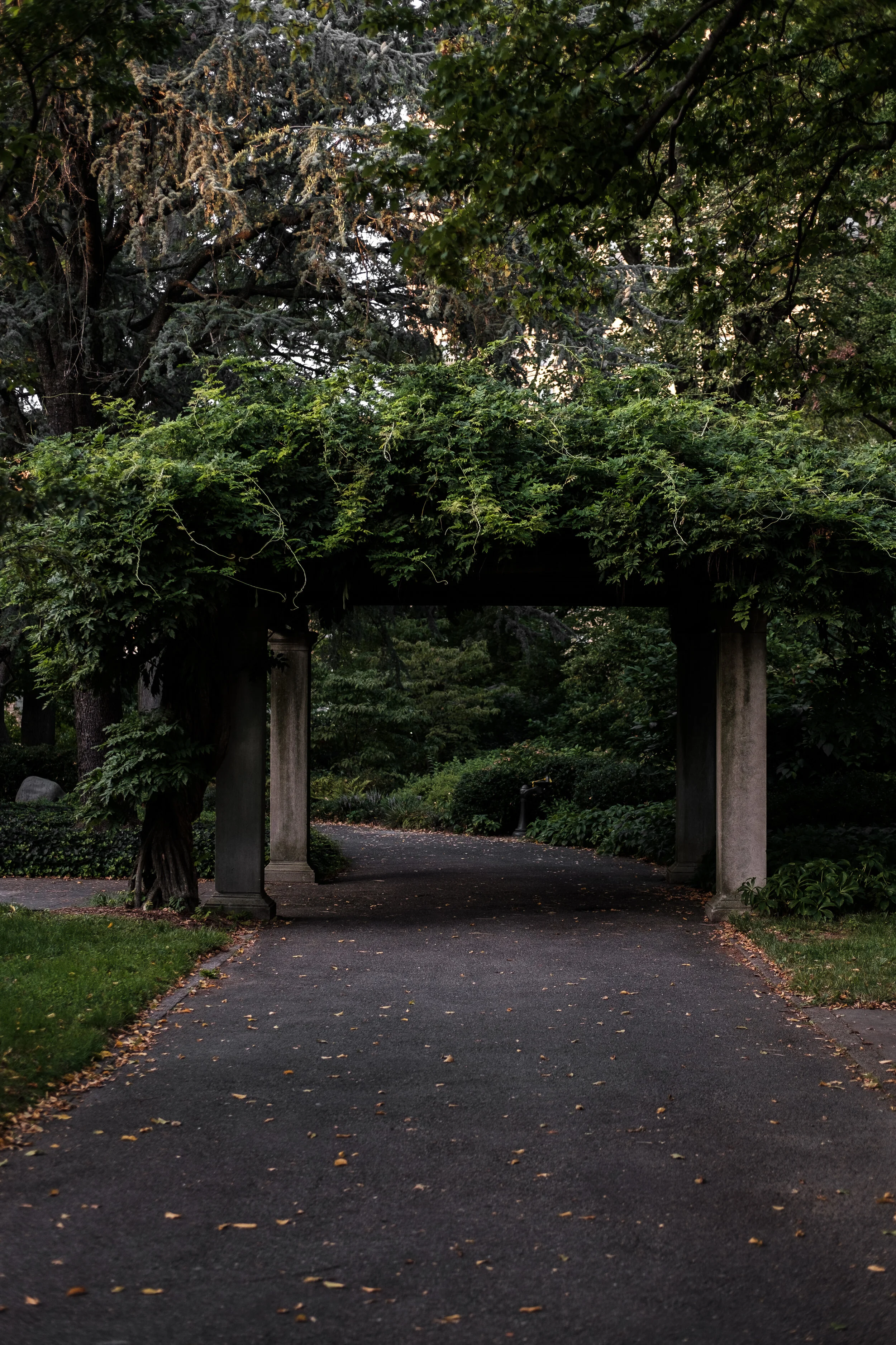 BBG_Sept2020-08.jpg