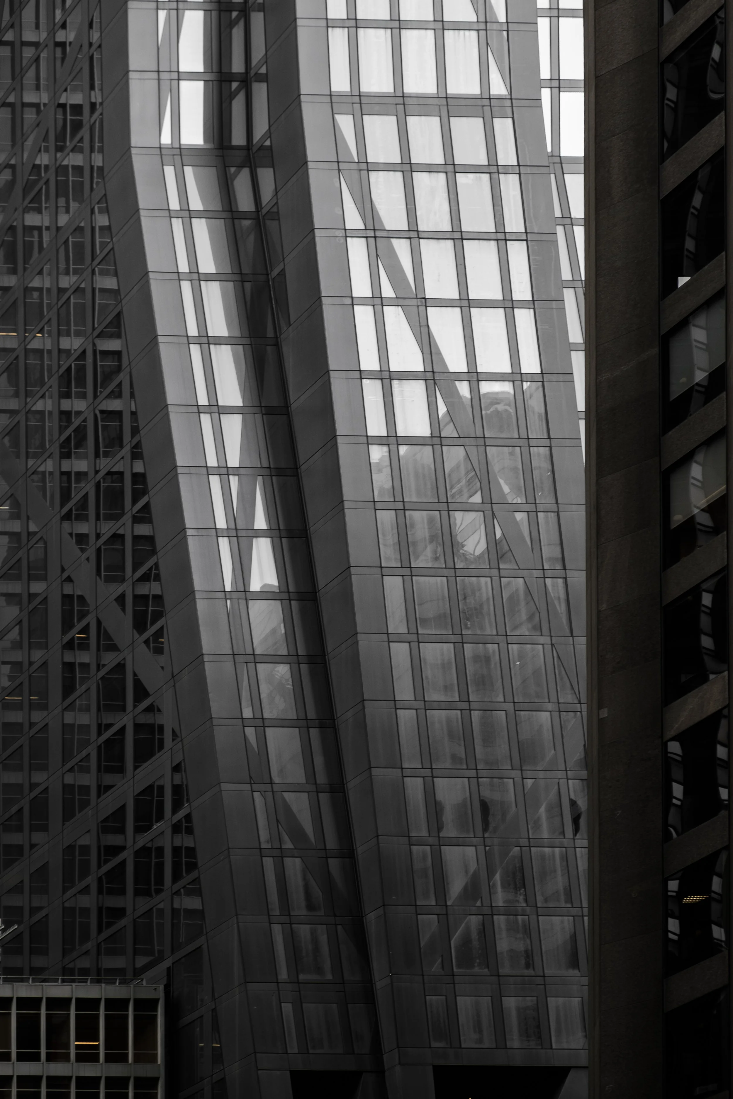 DSCF7439.jpg
