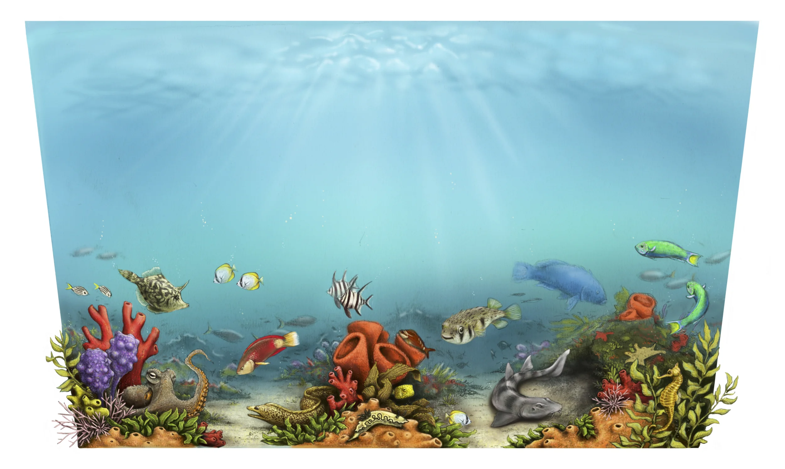 ZoeLawrence_OceanDesign.jpg